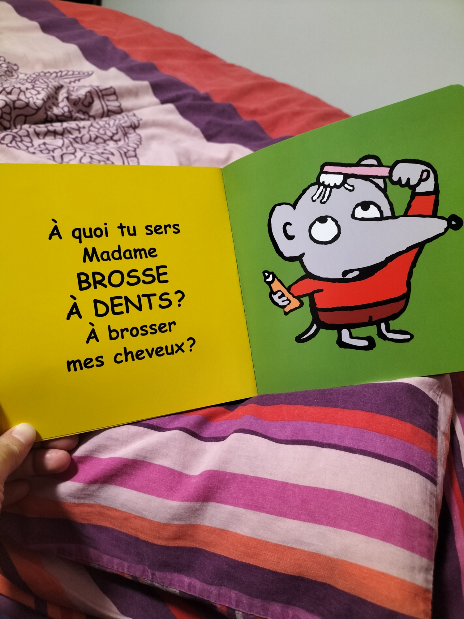 Pré-visualisation