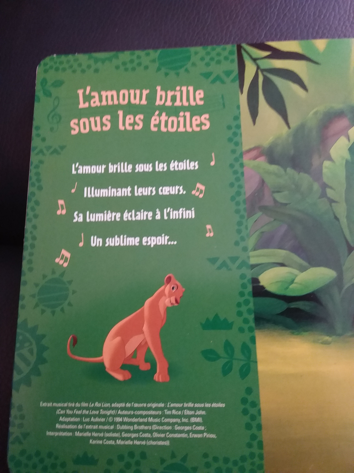 Pré-visualisation