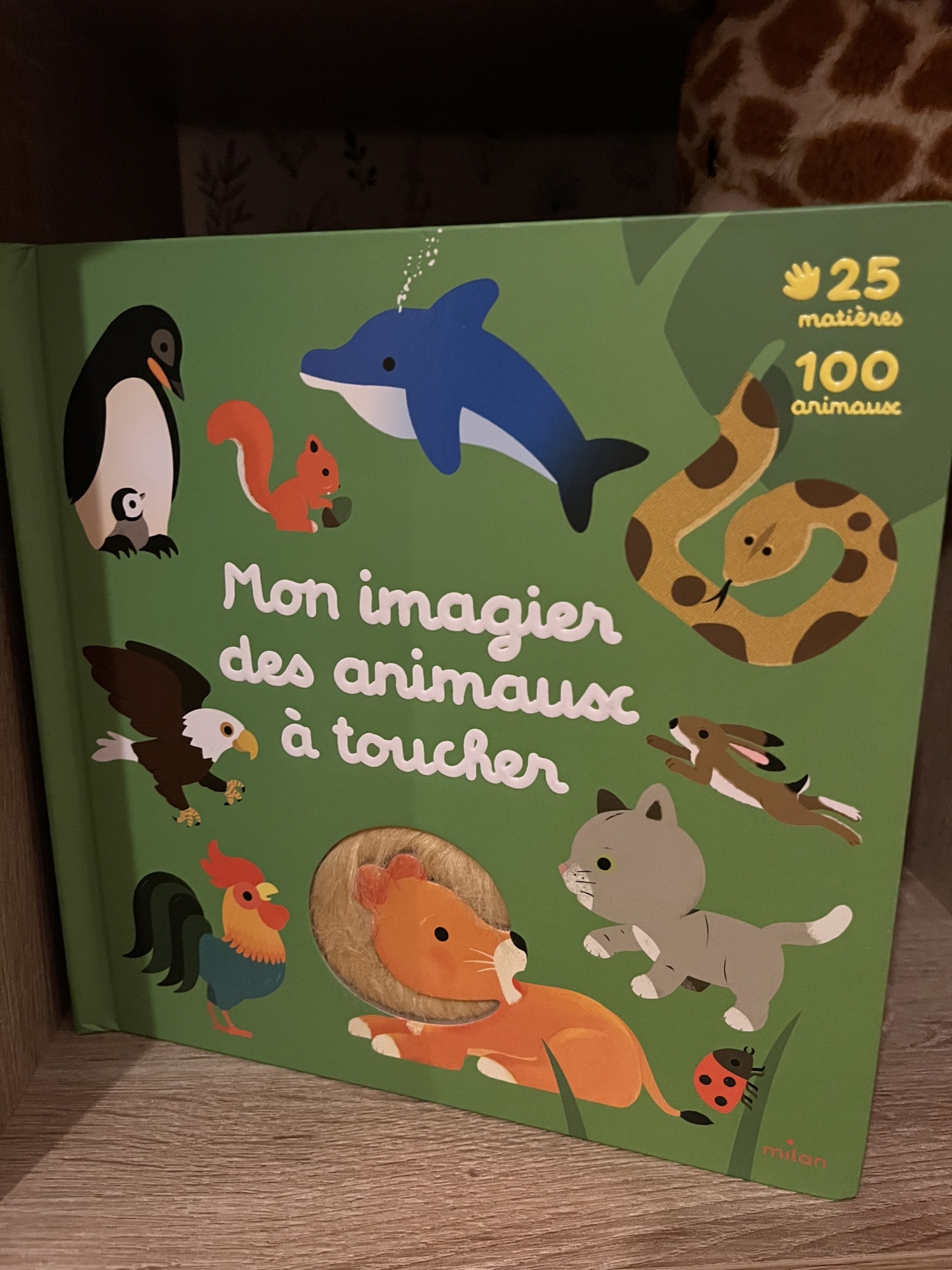 Pré-visualisation