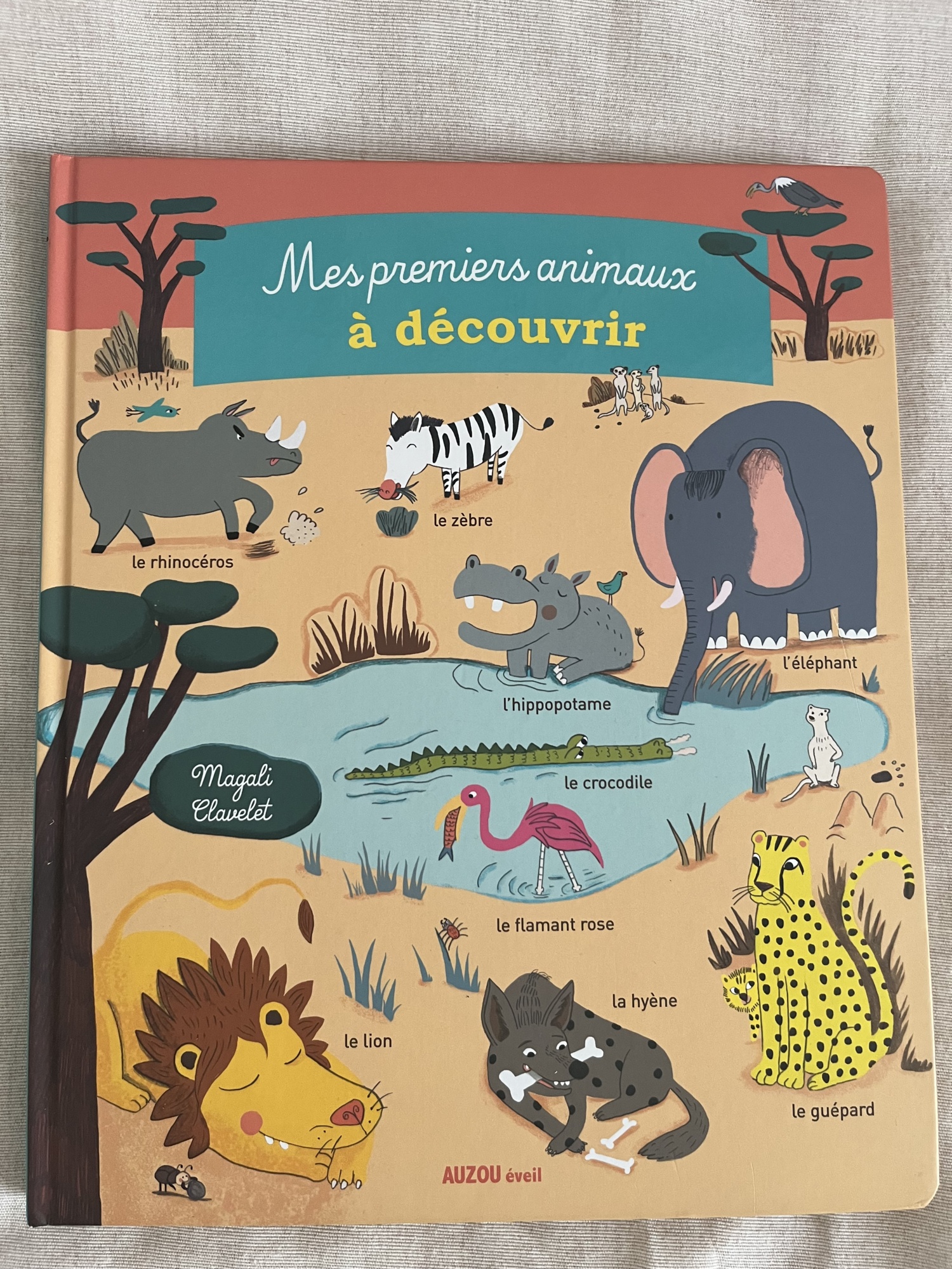 Pré-visualisation