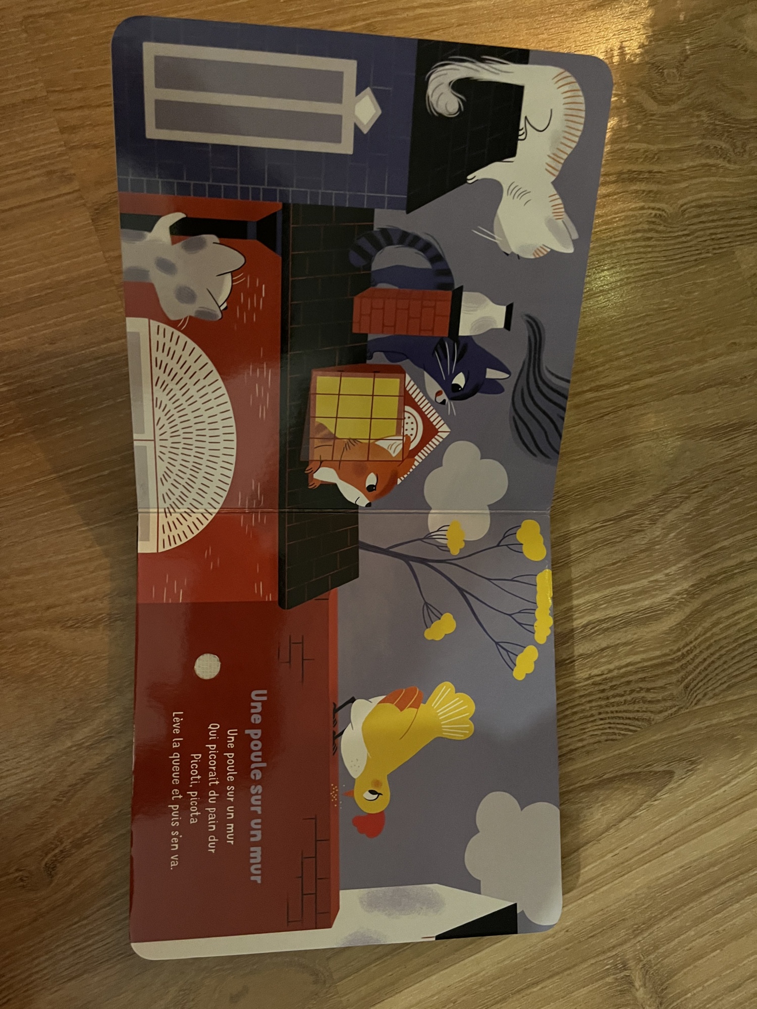 Pré-visualisation