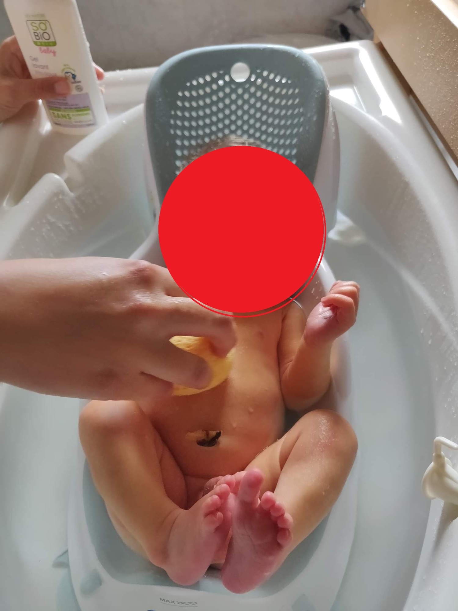 Pré-visualisation