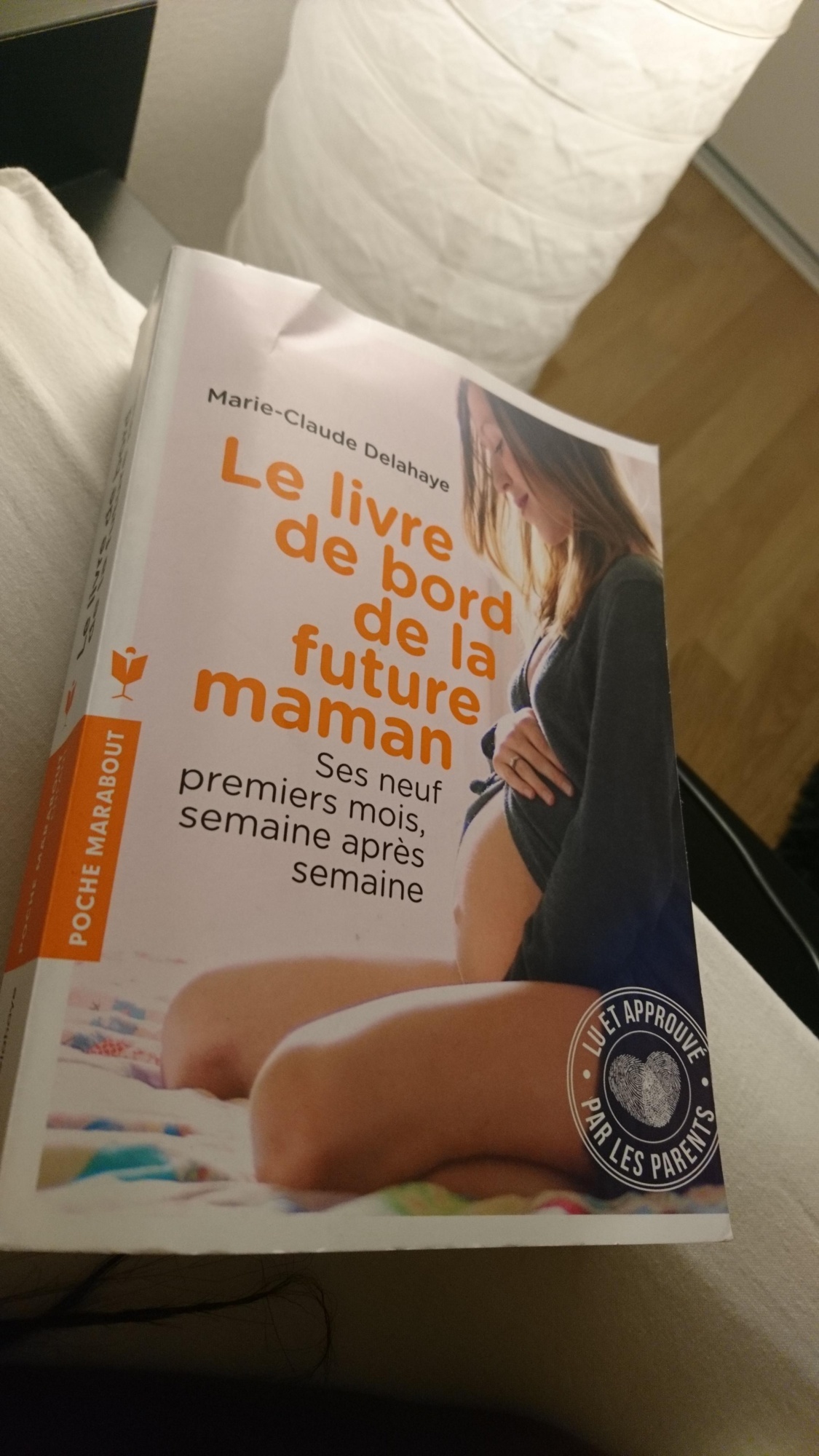 Pré-visualisation