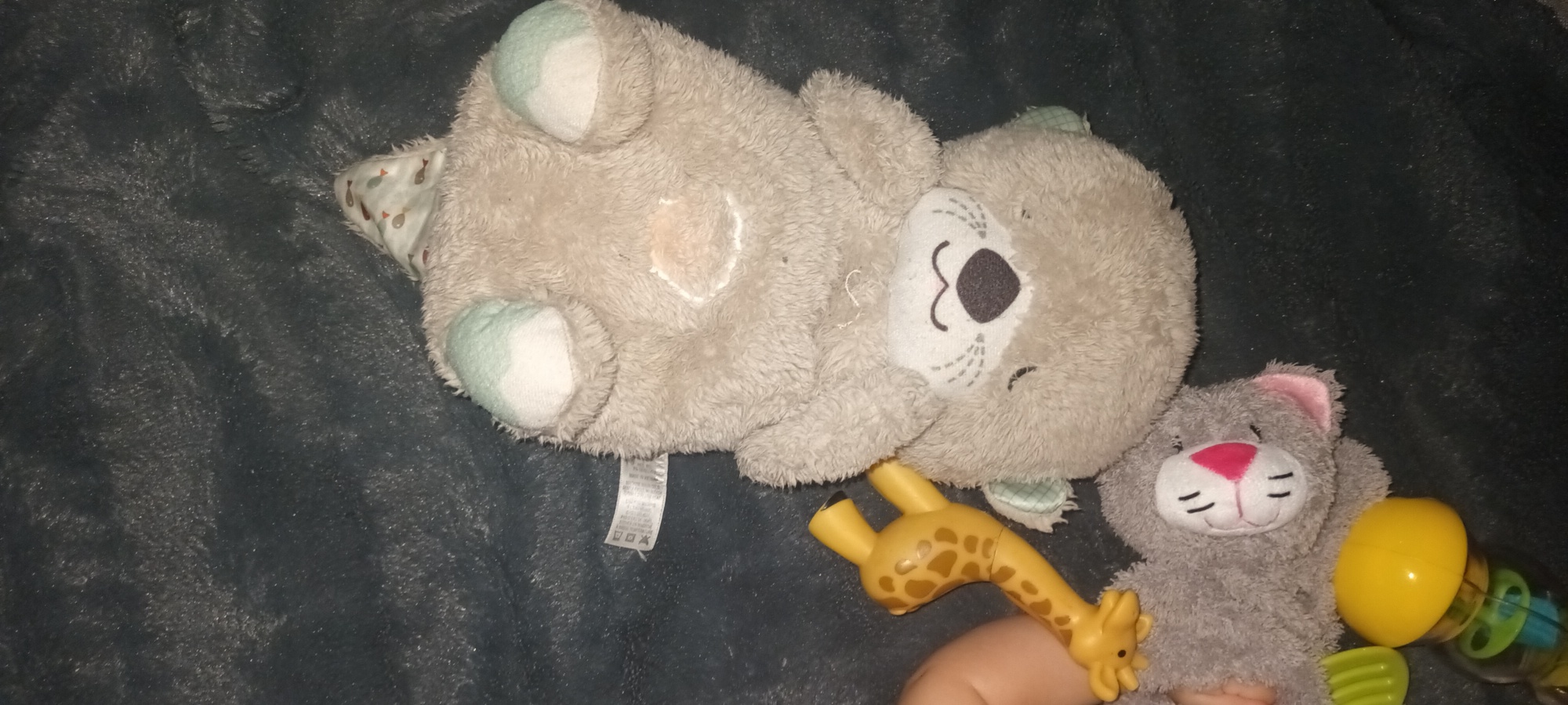 Veilleuse Ma Loutre Câlins Bonne Nuit FISHER PRICE Comparateur, Avis, Prix