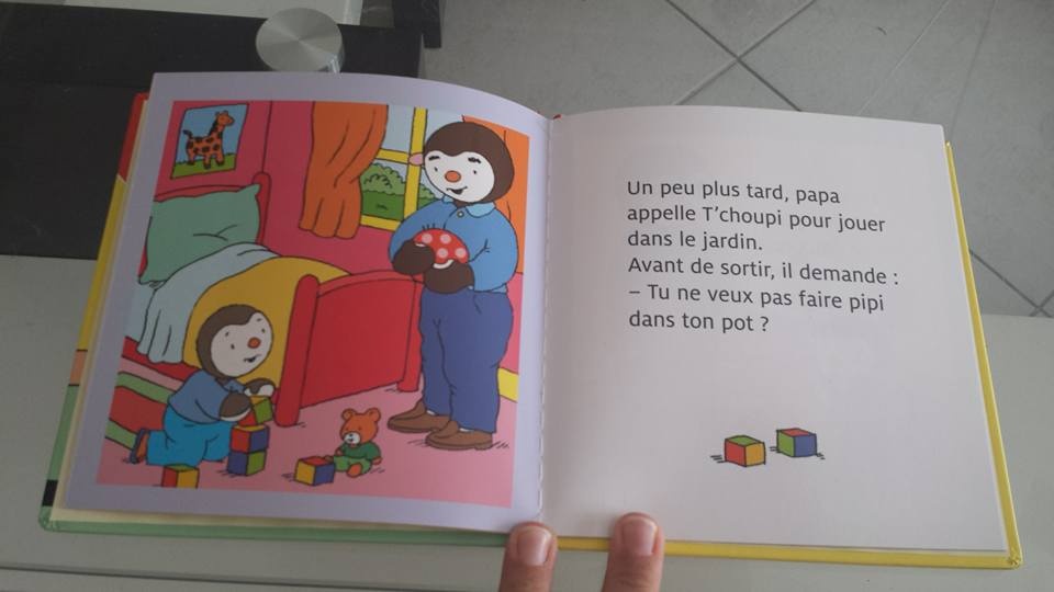 Pré-visualisation