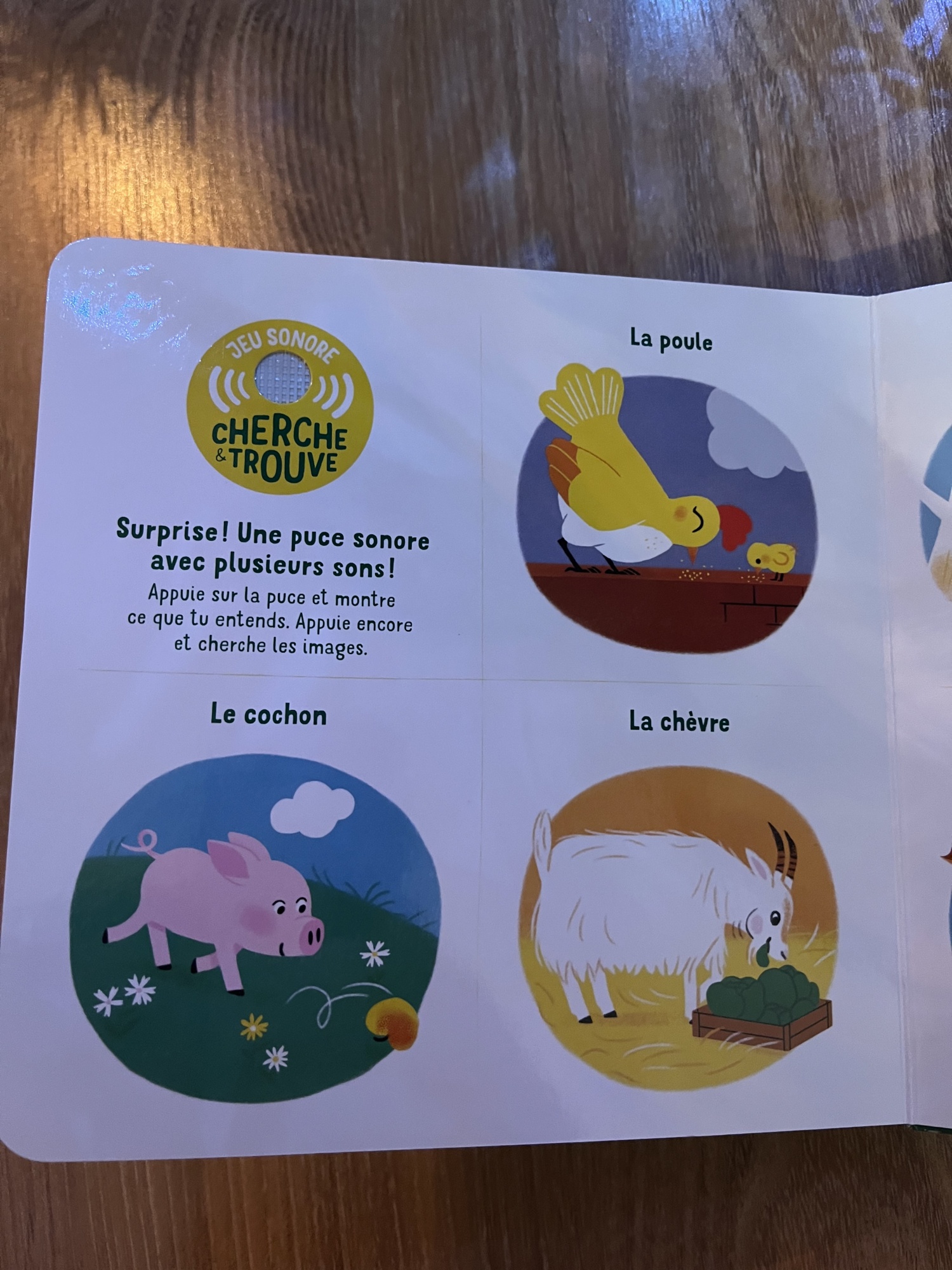 Pré-visualisation