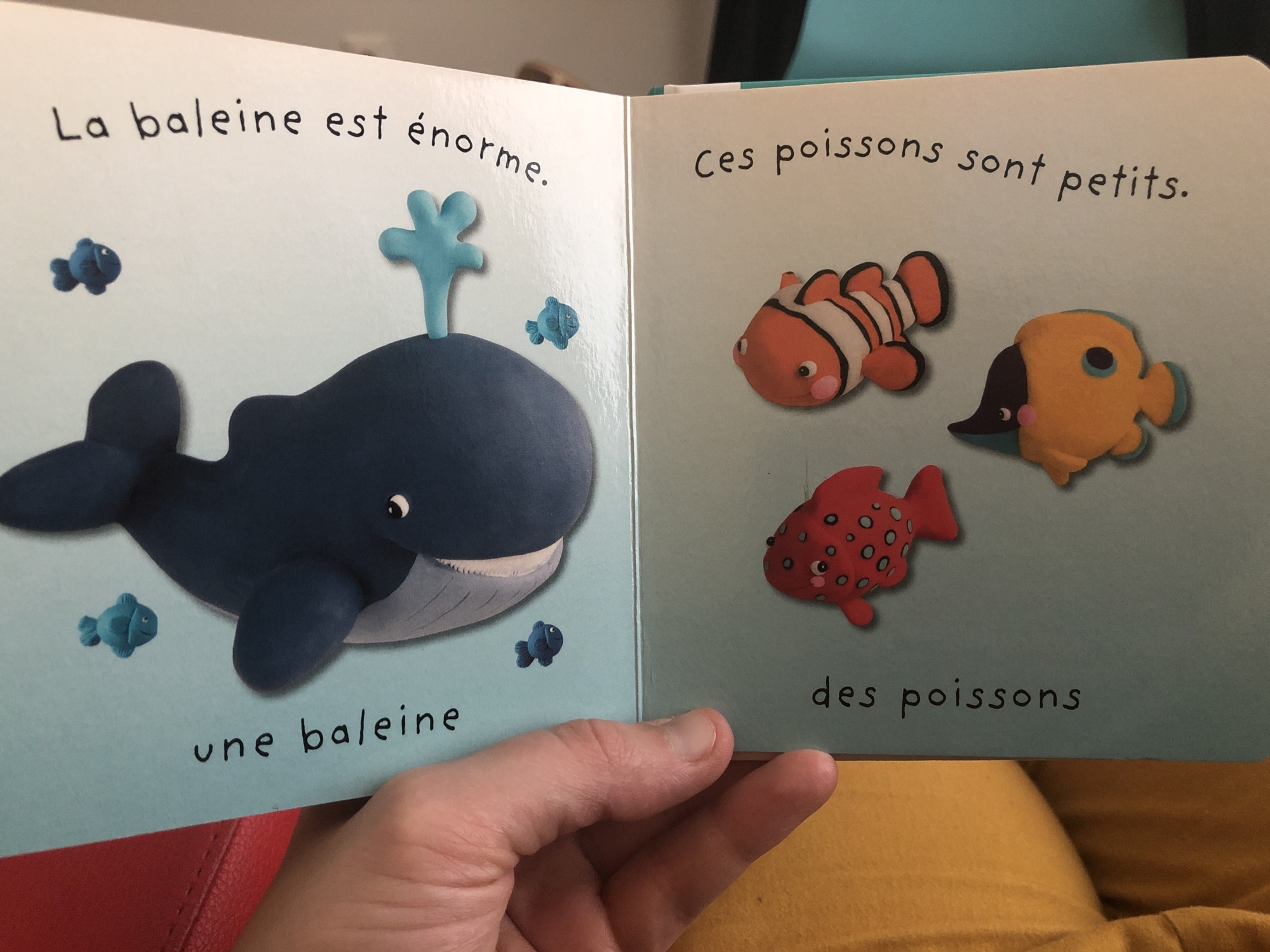 Pré-visualisation