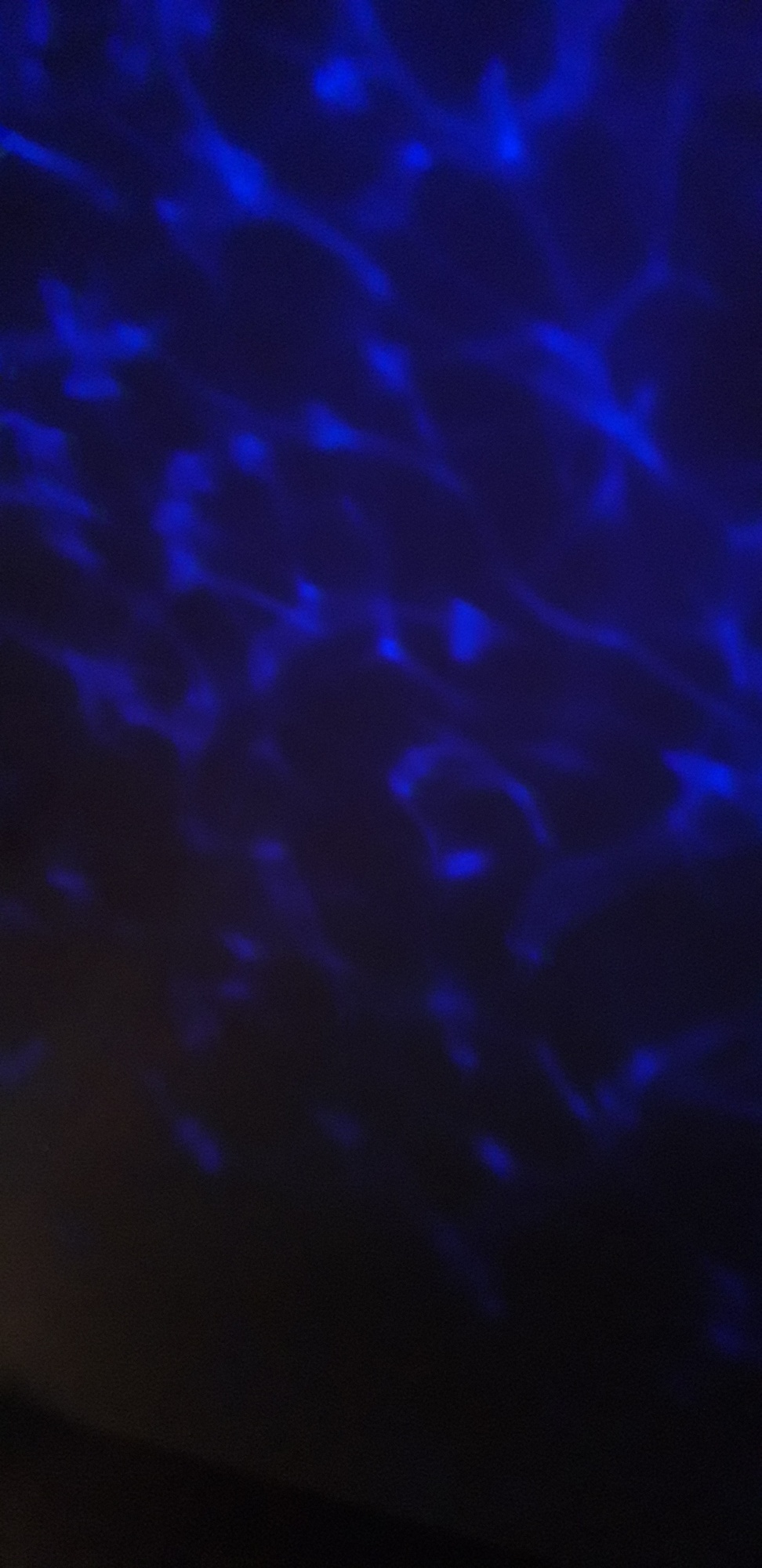 Pré-visualisation