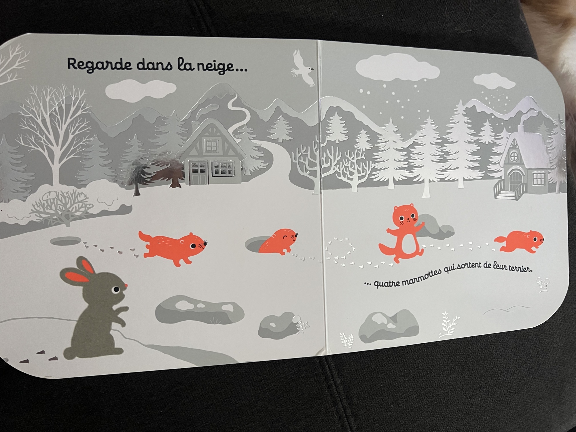 Pré-visualisation