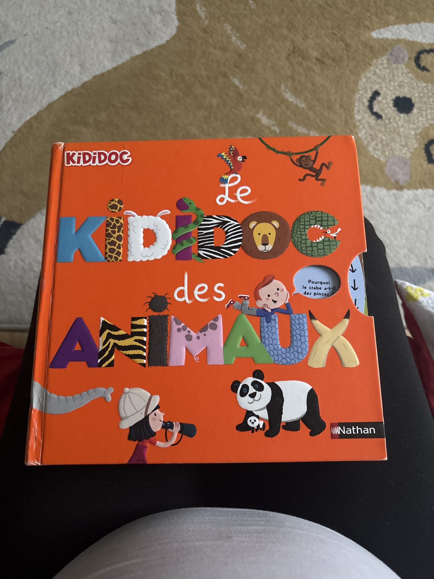 Pré-visualisation