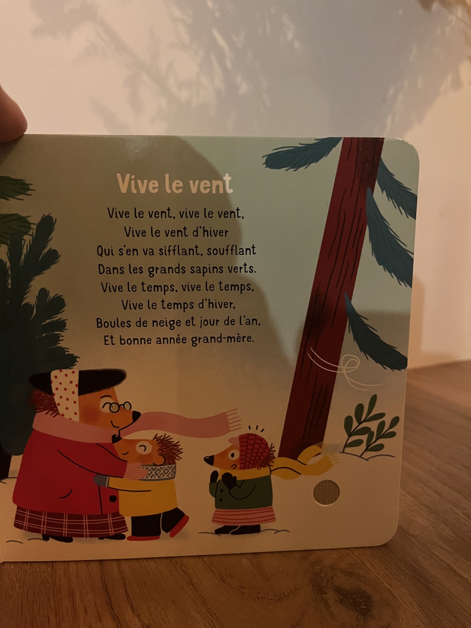 Pré-visualisation