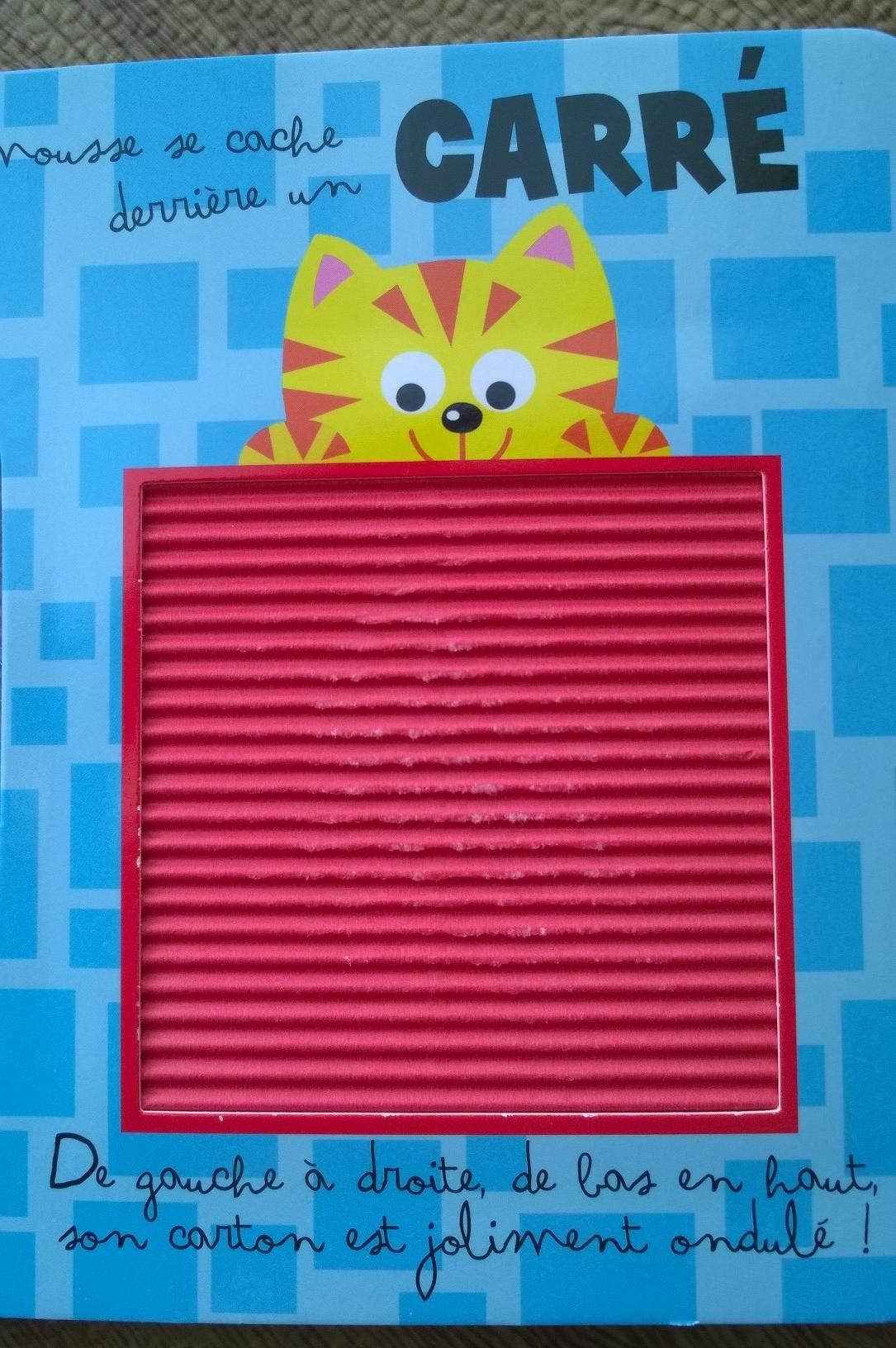 Pré-visualisation