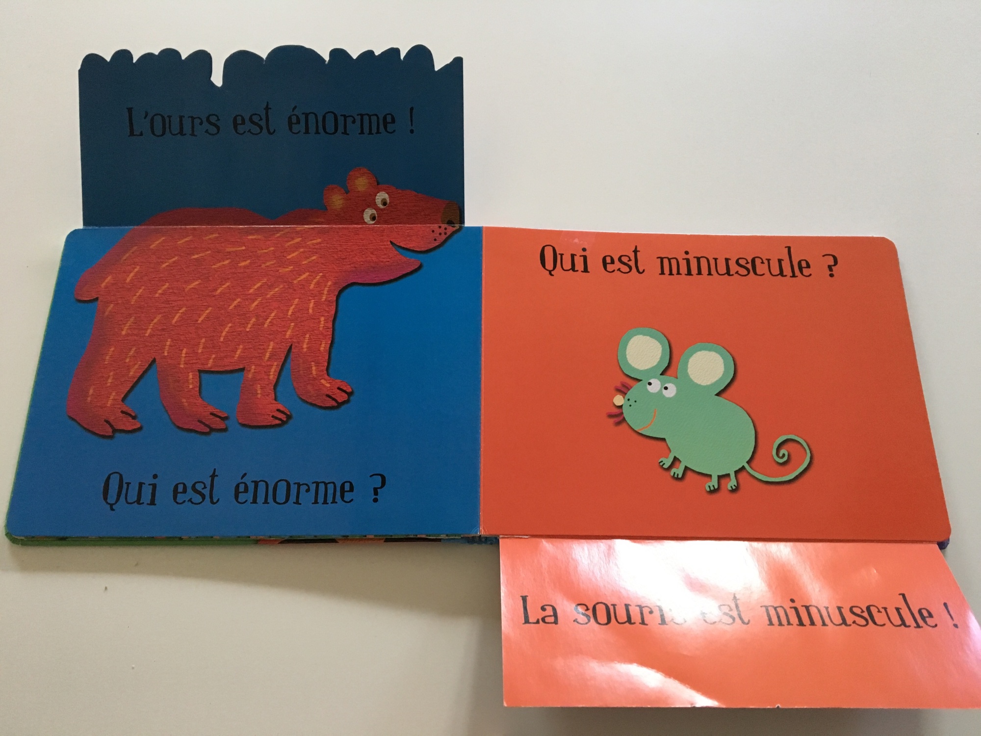 Pré-visualisation
