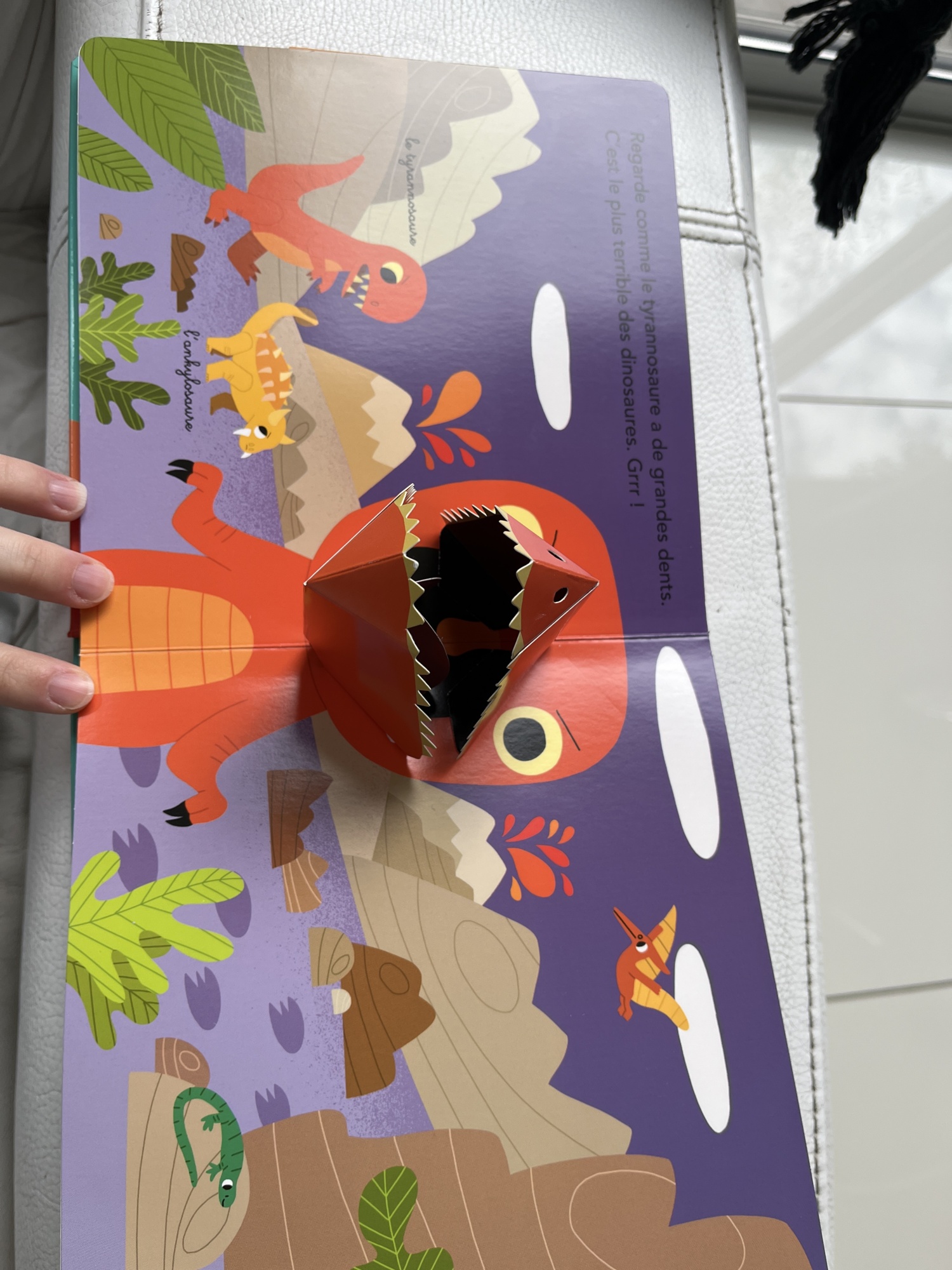 Pré-visualisation