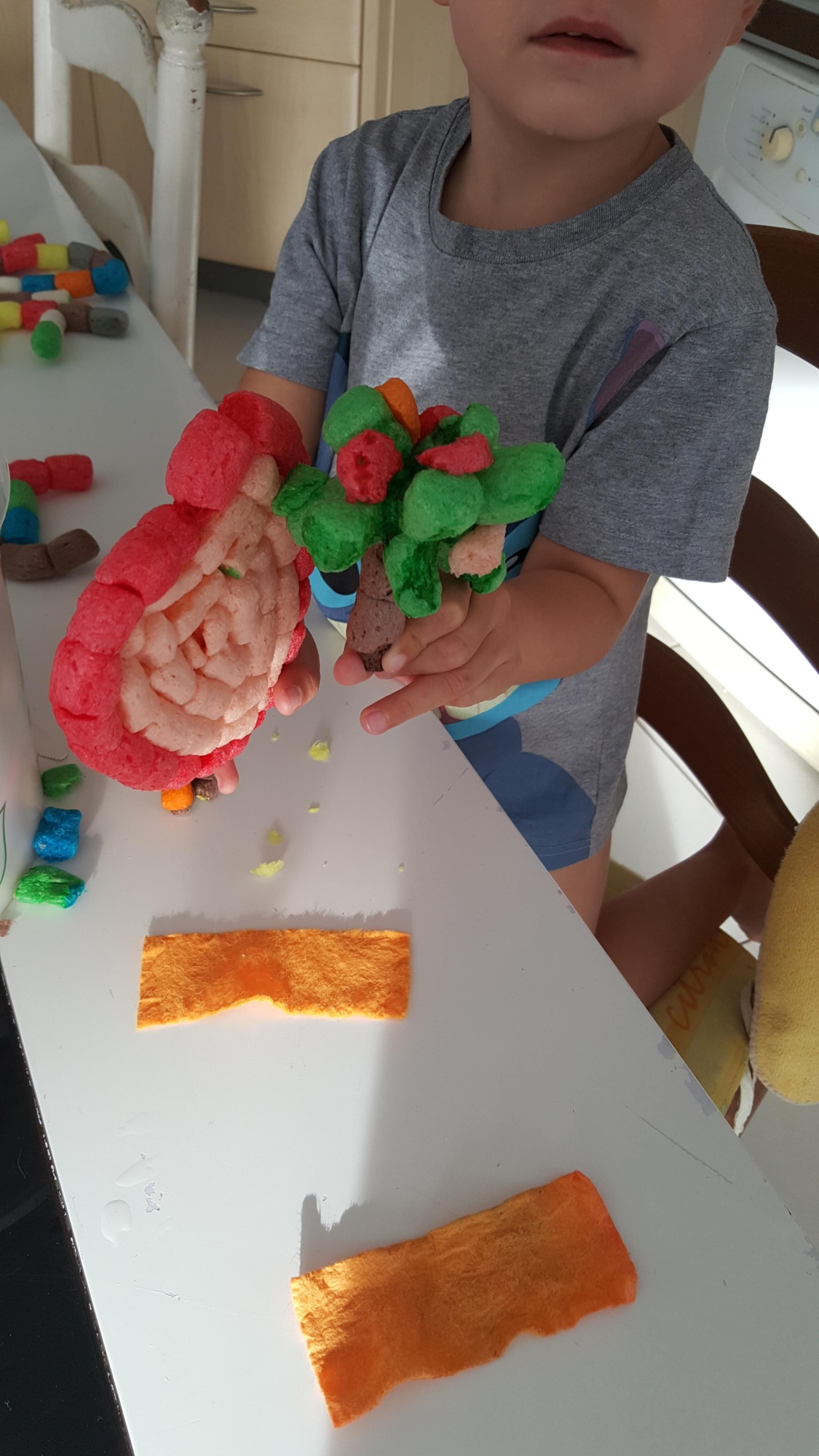 Pré-visualisation