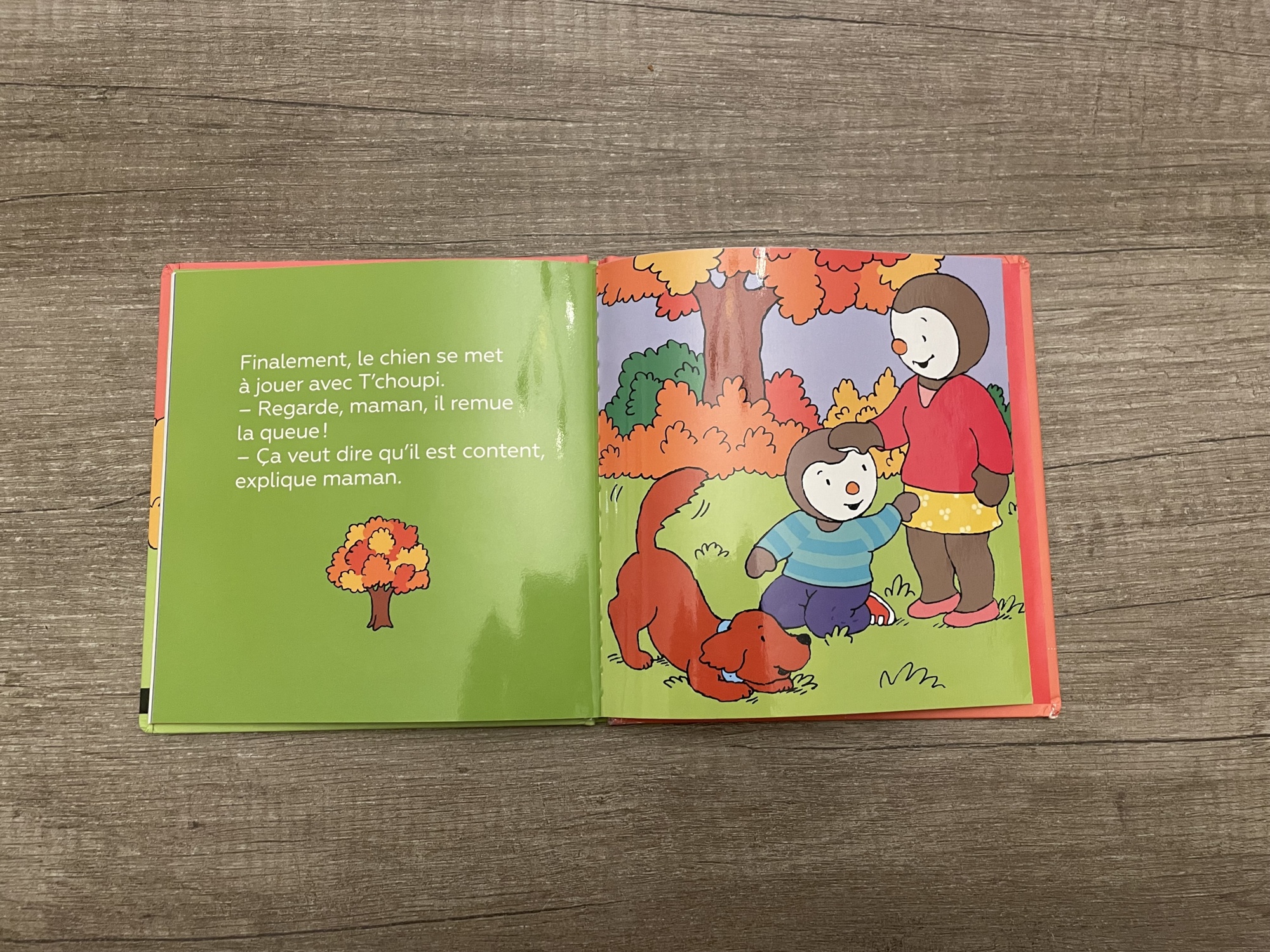 Pré-visualisation