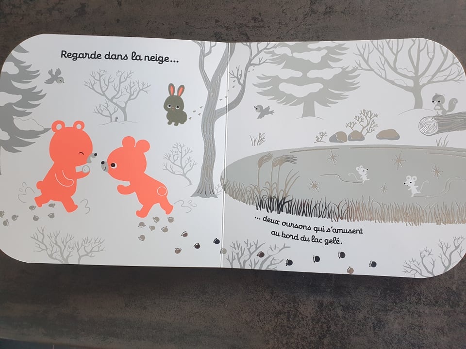 Pré-visualisation