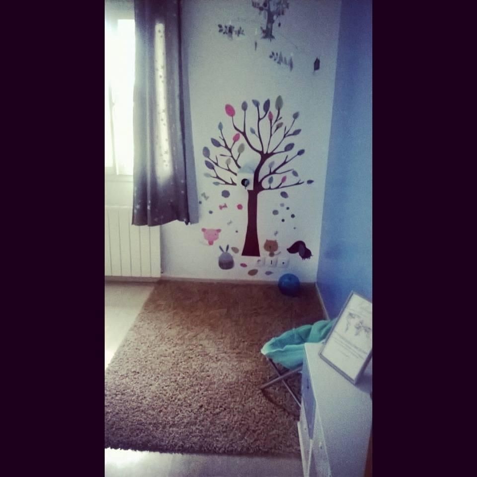 Pré-visualisation