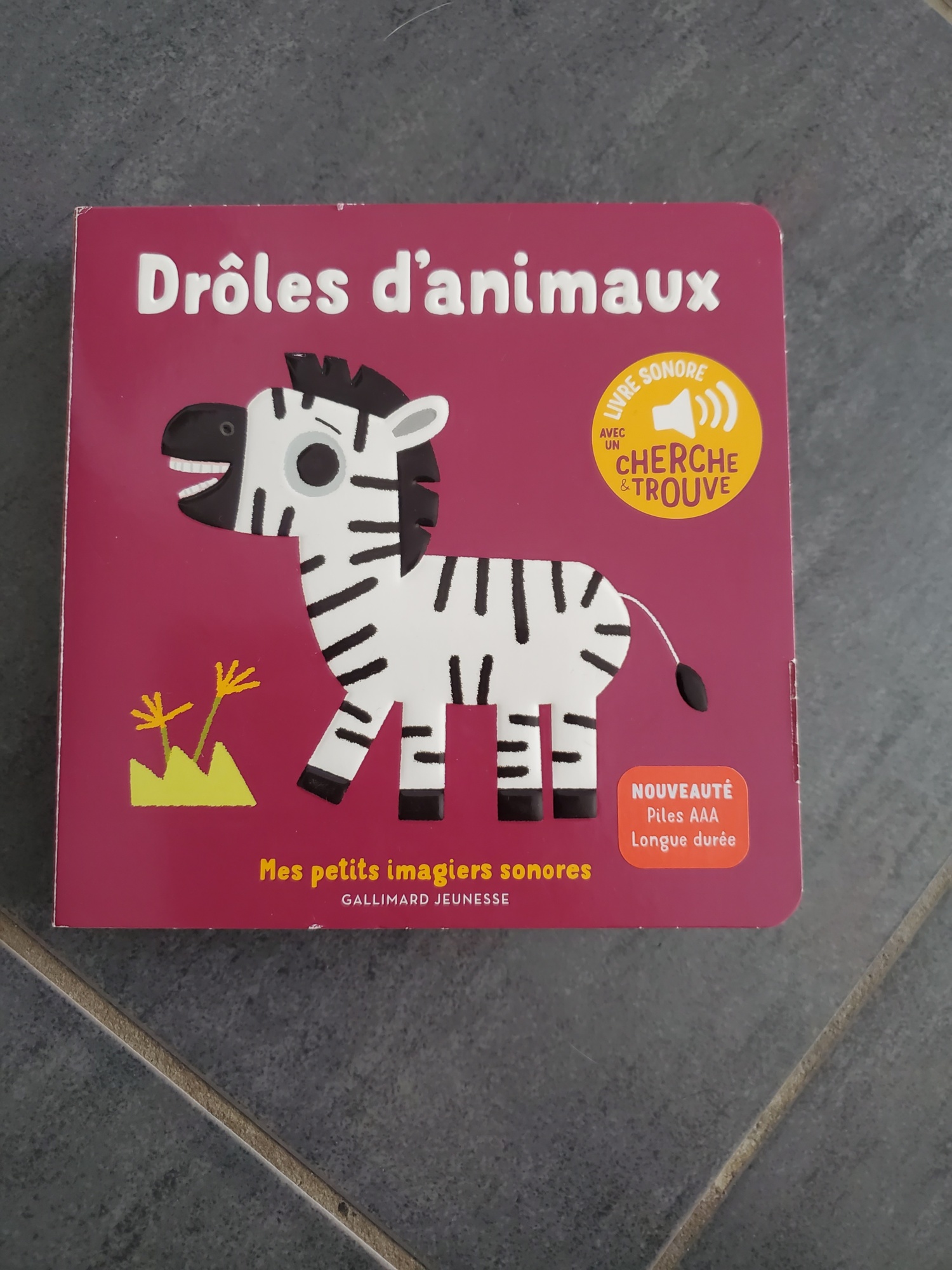 Pré-visualisation