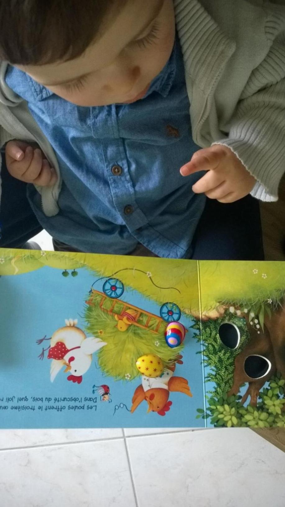 Pré-visualisation