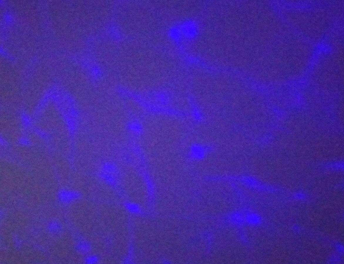 Pré-visualisation