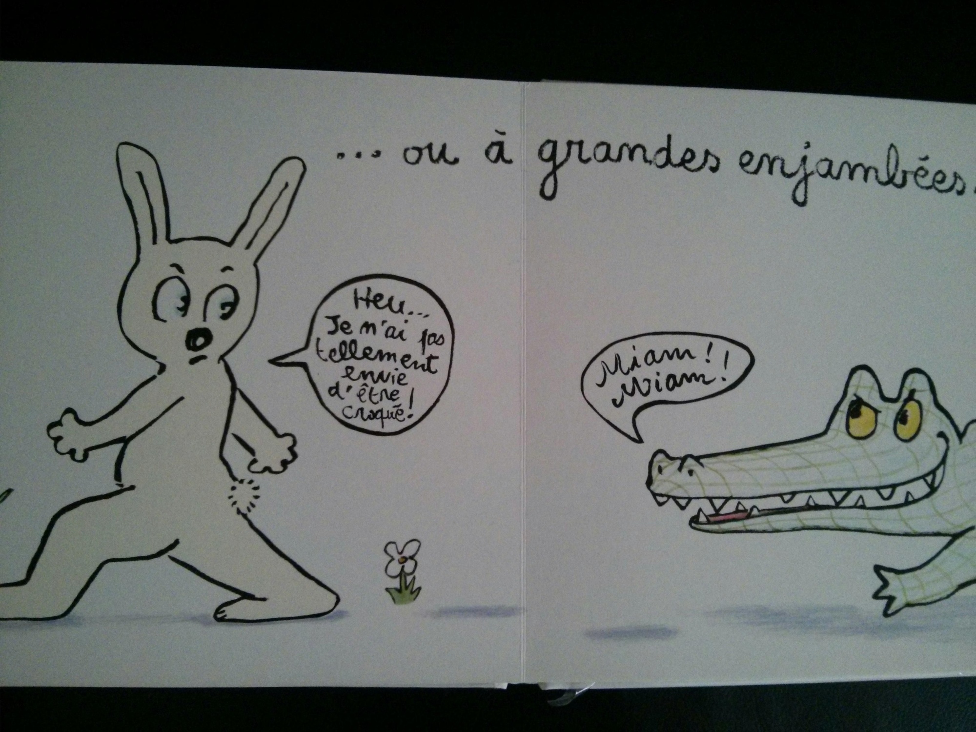 Pré-visualisation