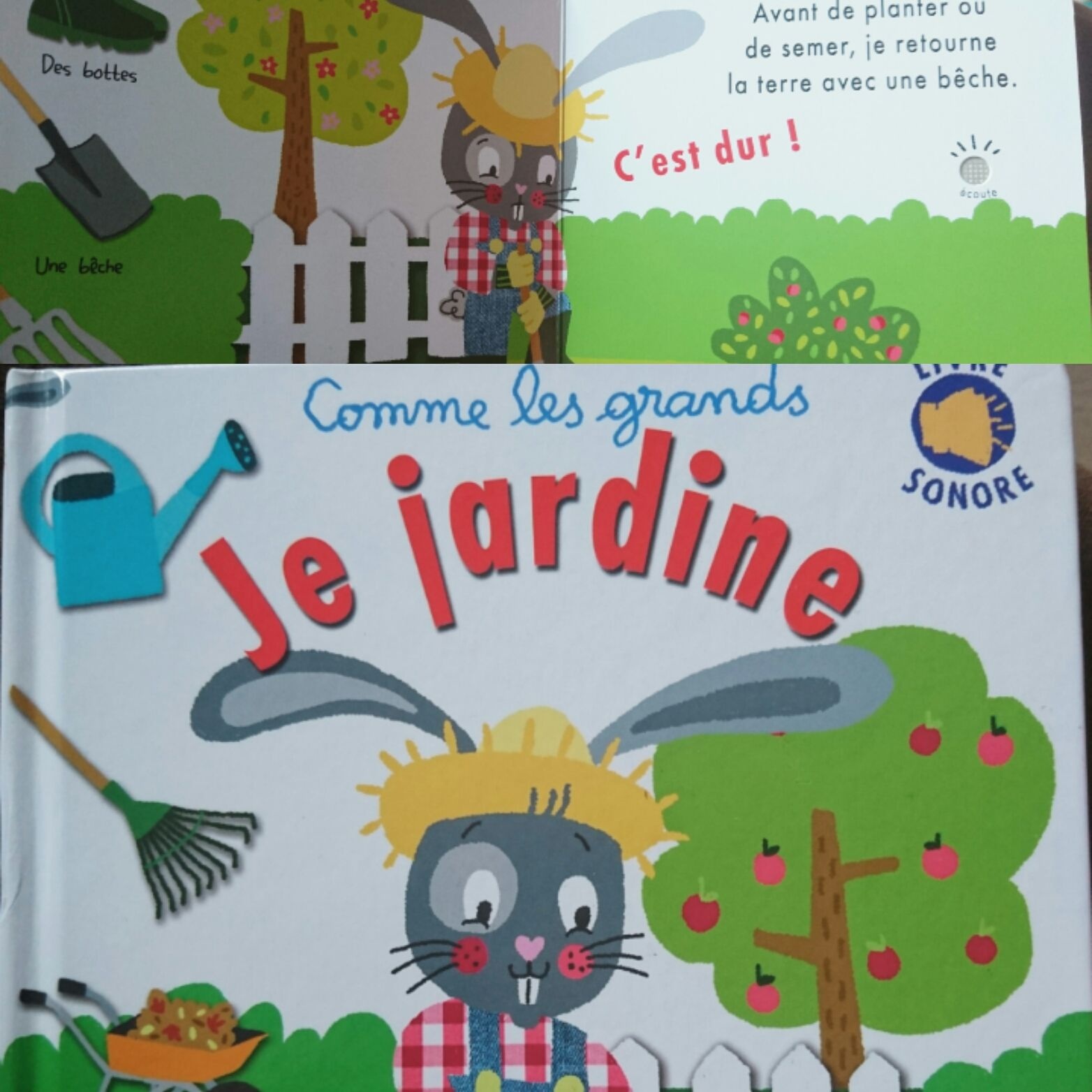 Pré-visualisation
