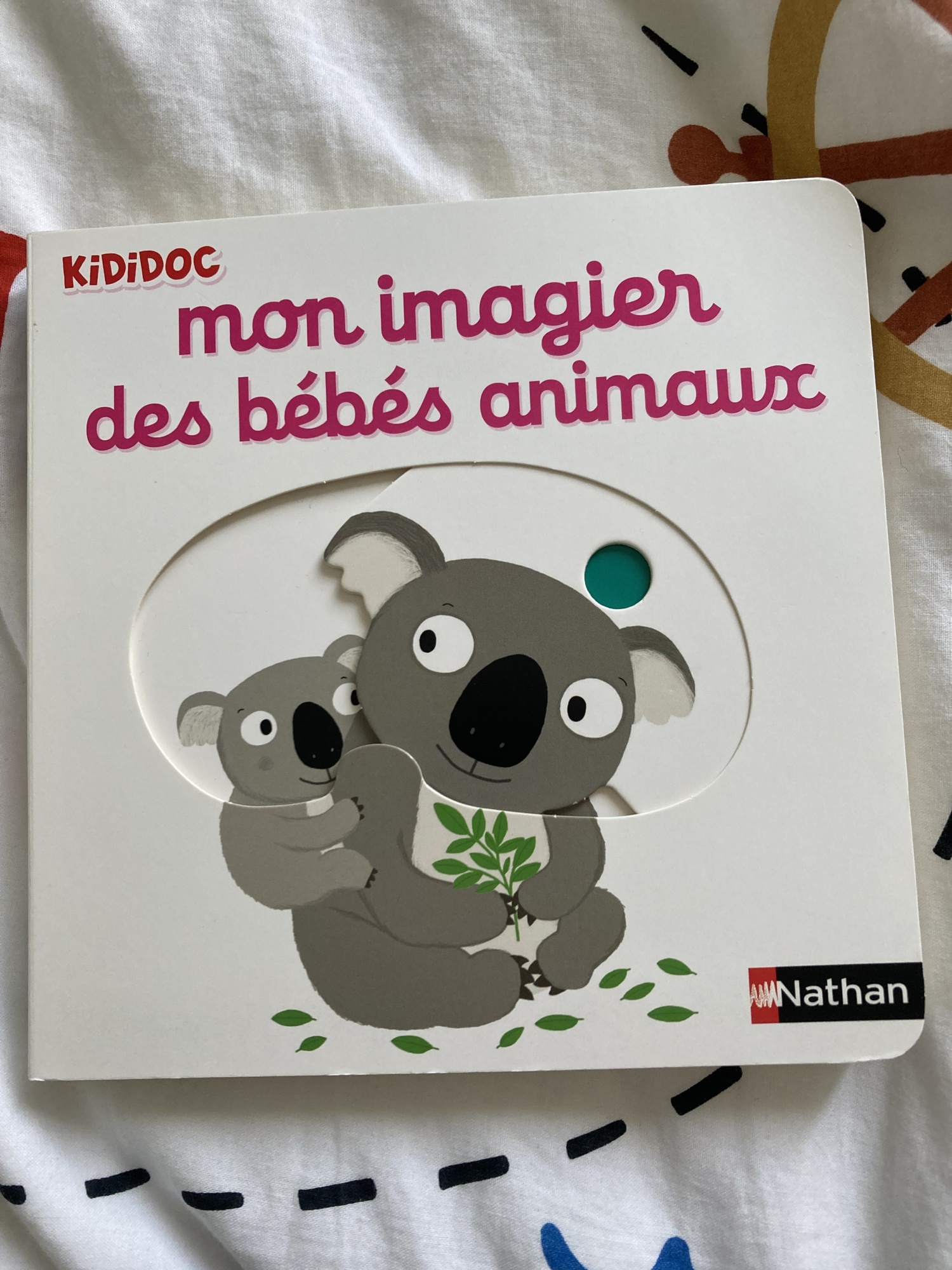 Pré-visualisation