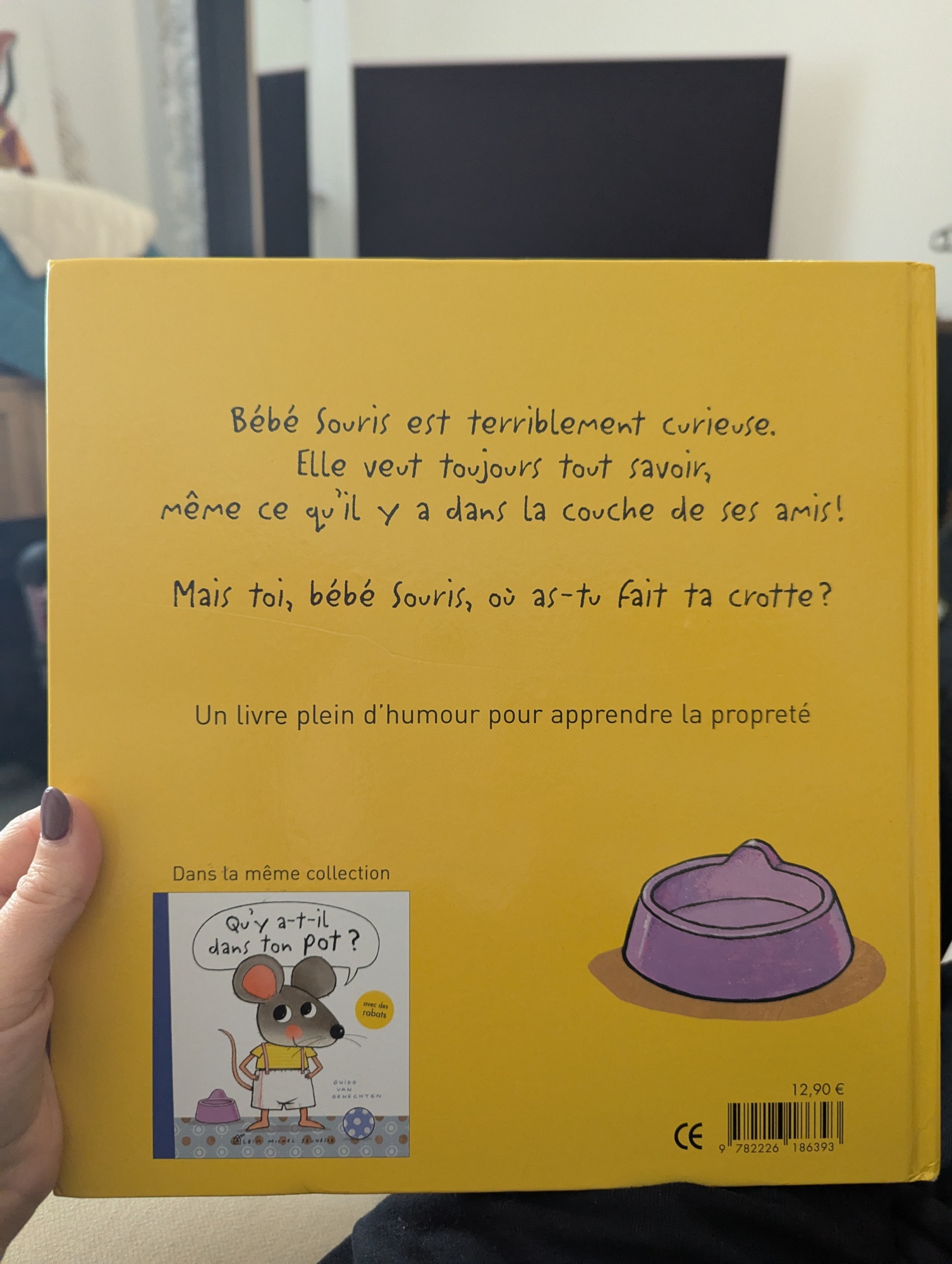 Pré-visualisation