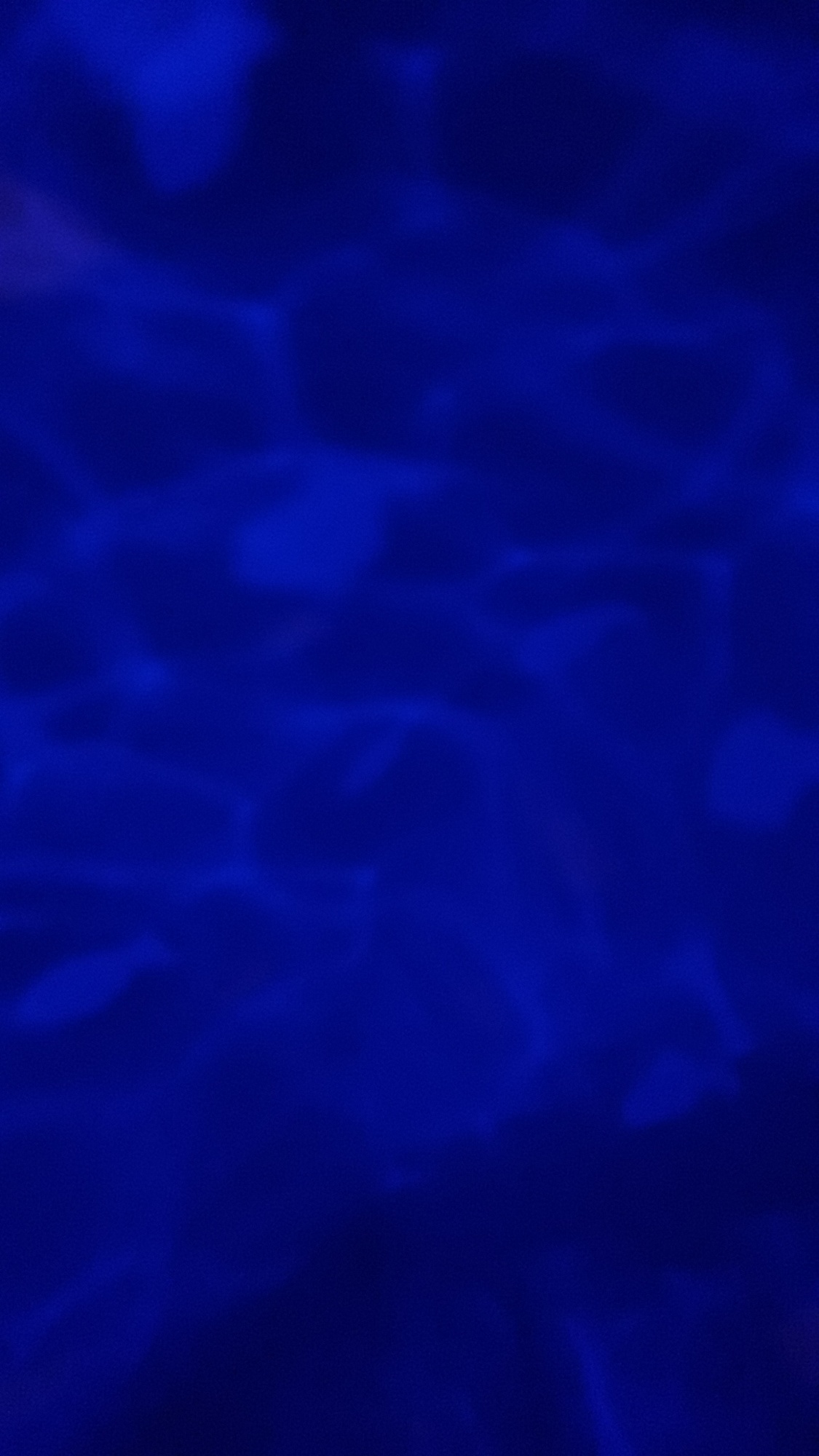Pré-visualisation