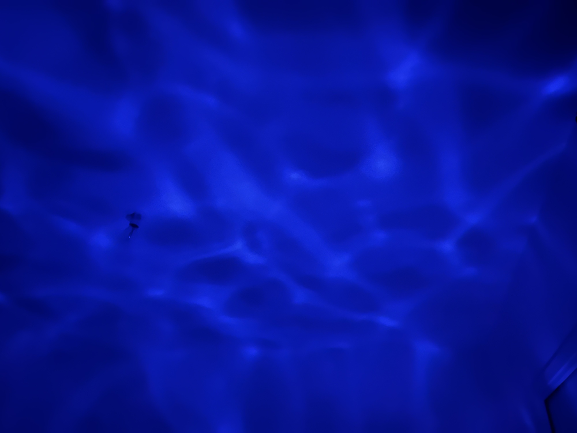 Pré-visualisation