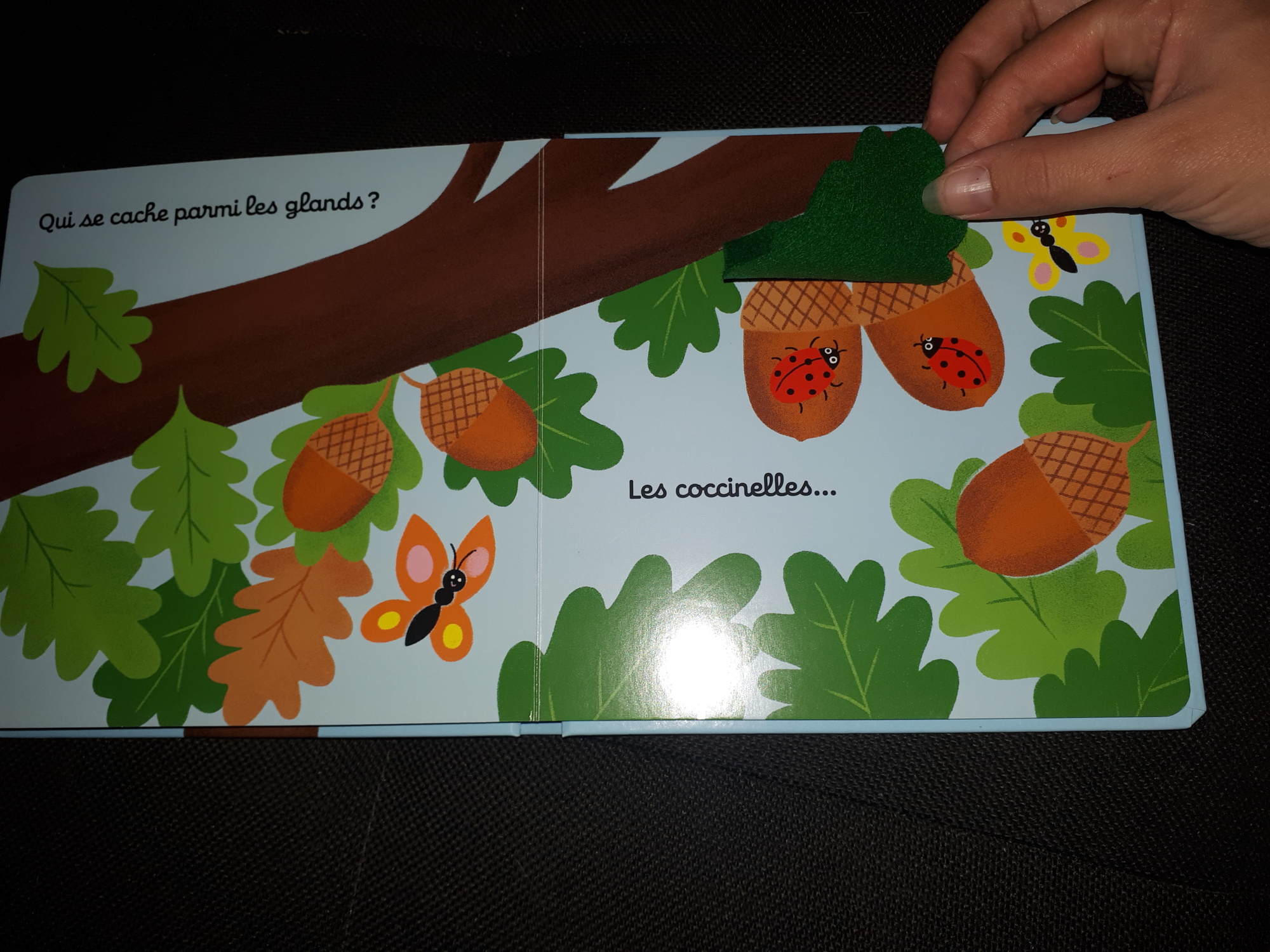 Pré-visualisation
