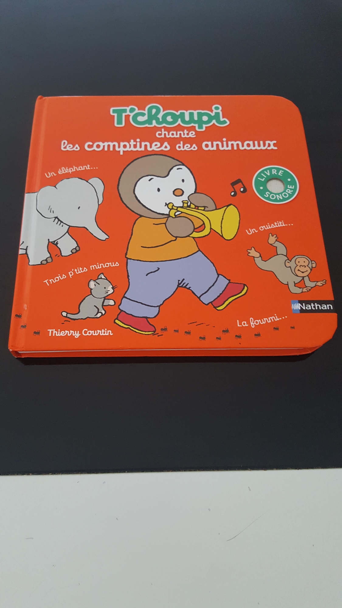 Pré-visualisation