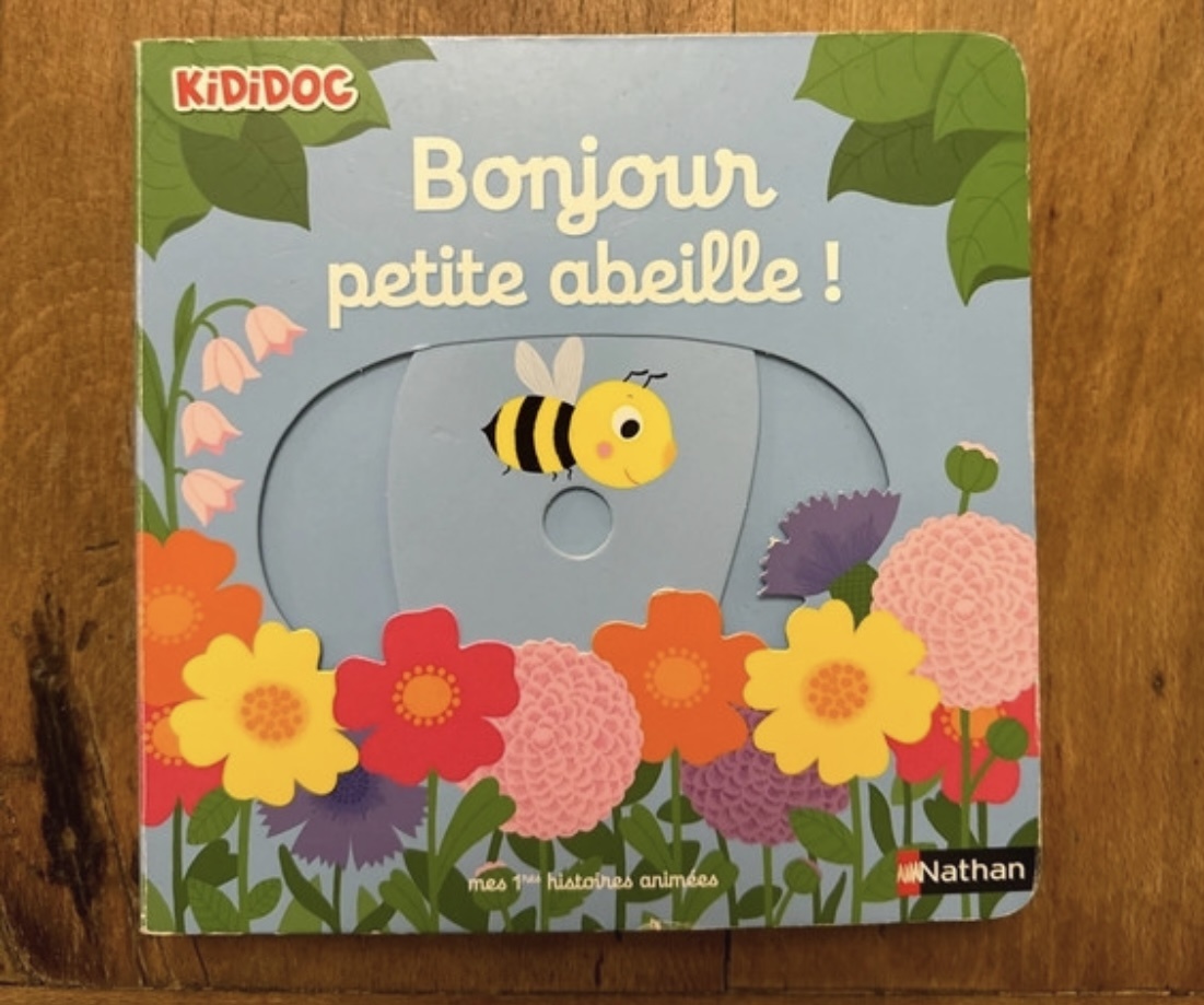 Pré-visualisation