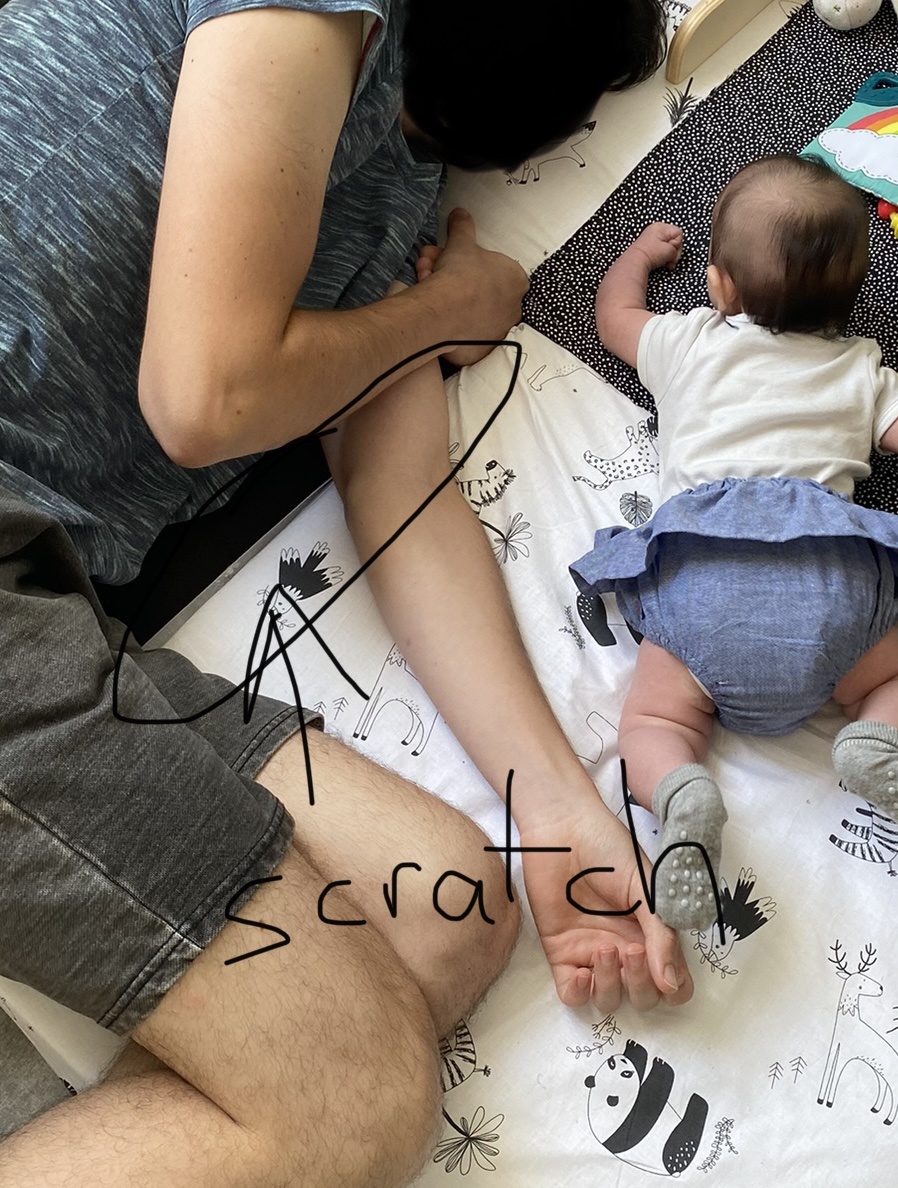 Pré-visualisation
