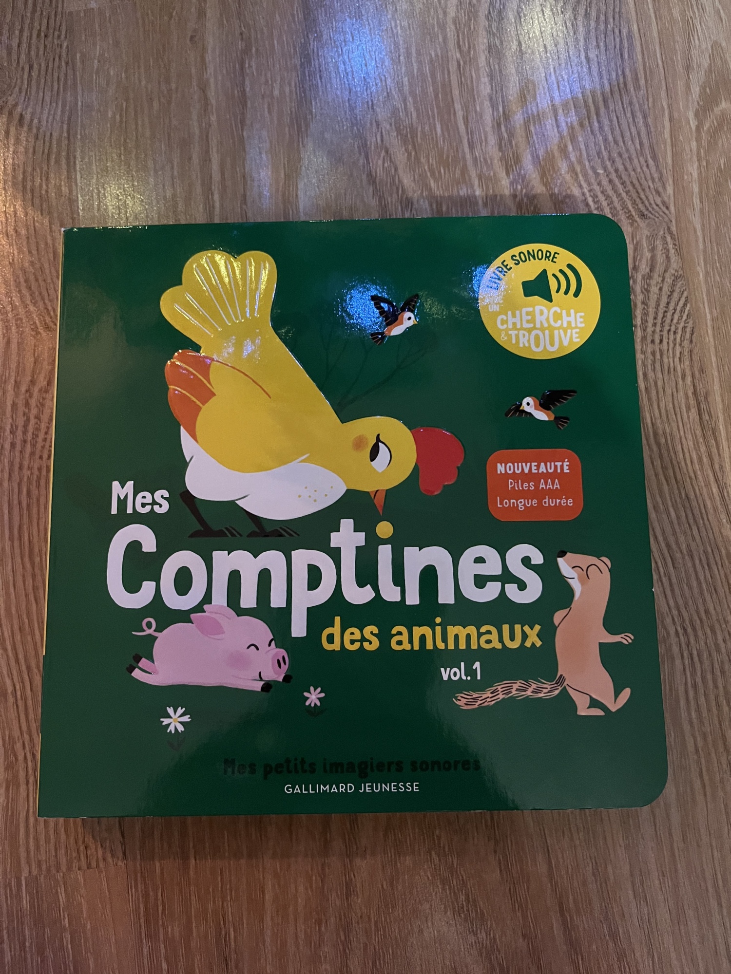 Pré-visualisation