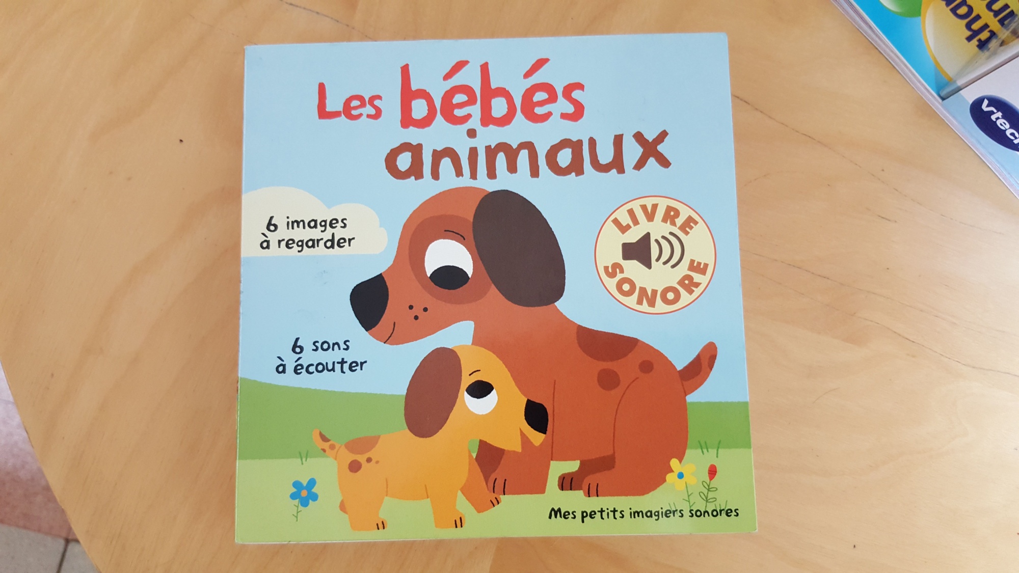 Pré-visualisation