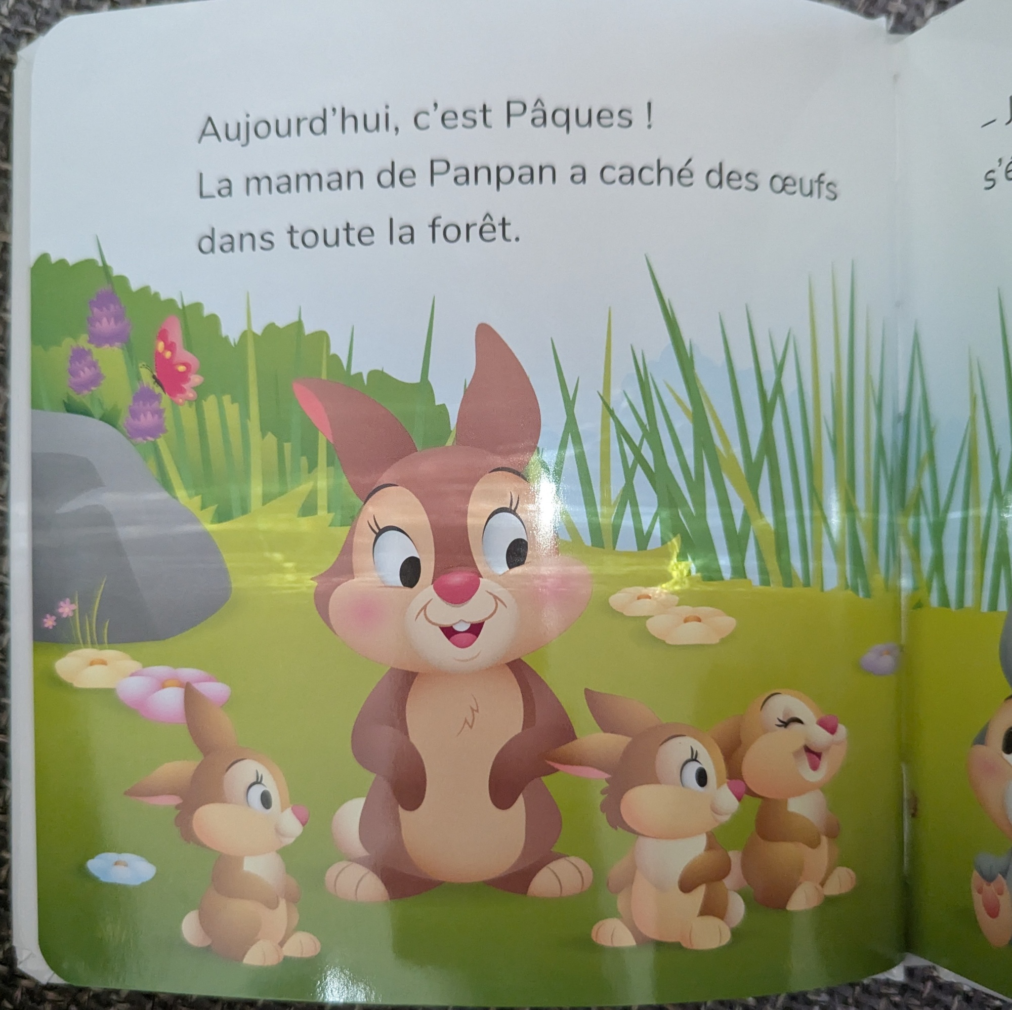Pré-visualisation