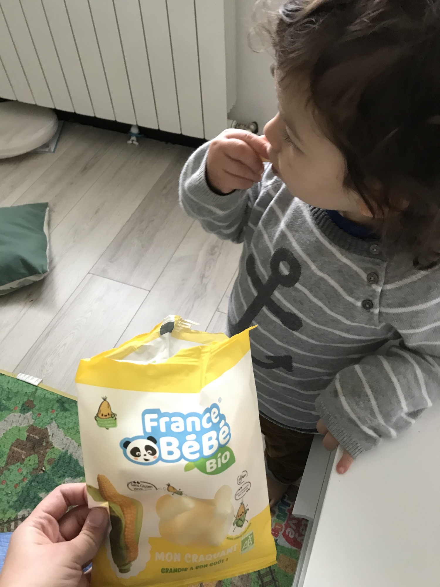 Pré-visualisation