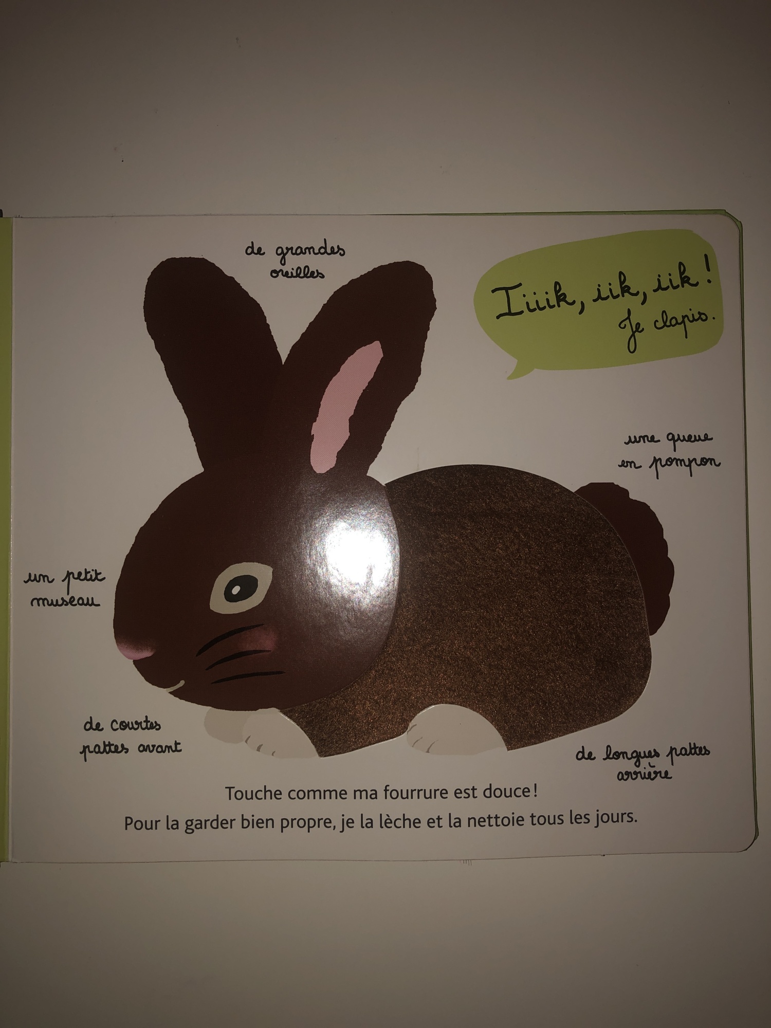 Pré-visualisation