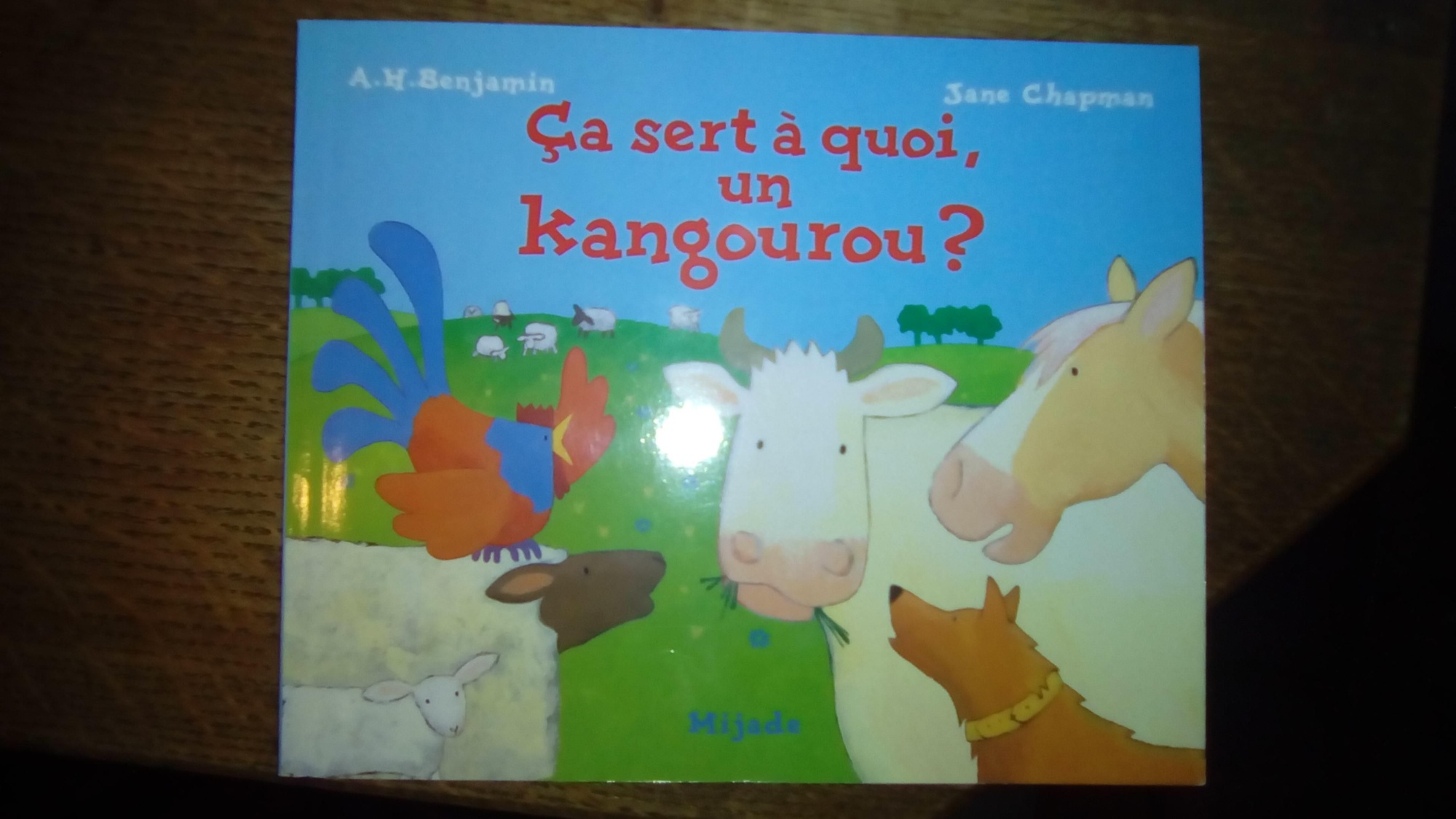 Pré-visualisation