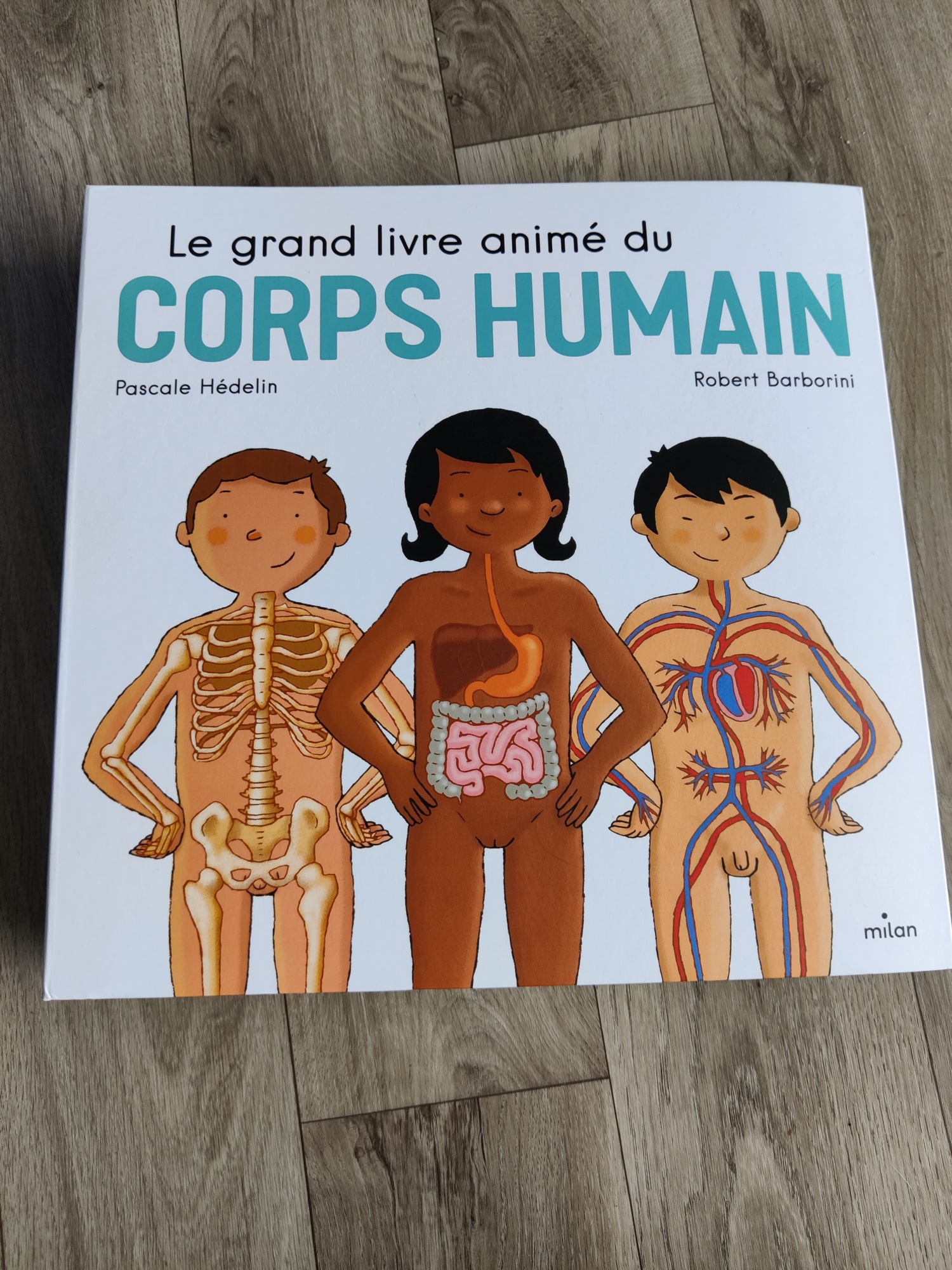 Pré-visualisation