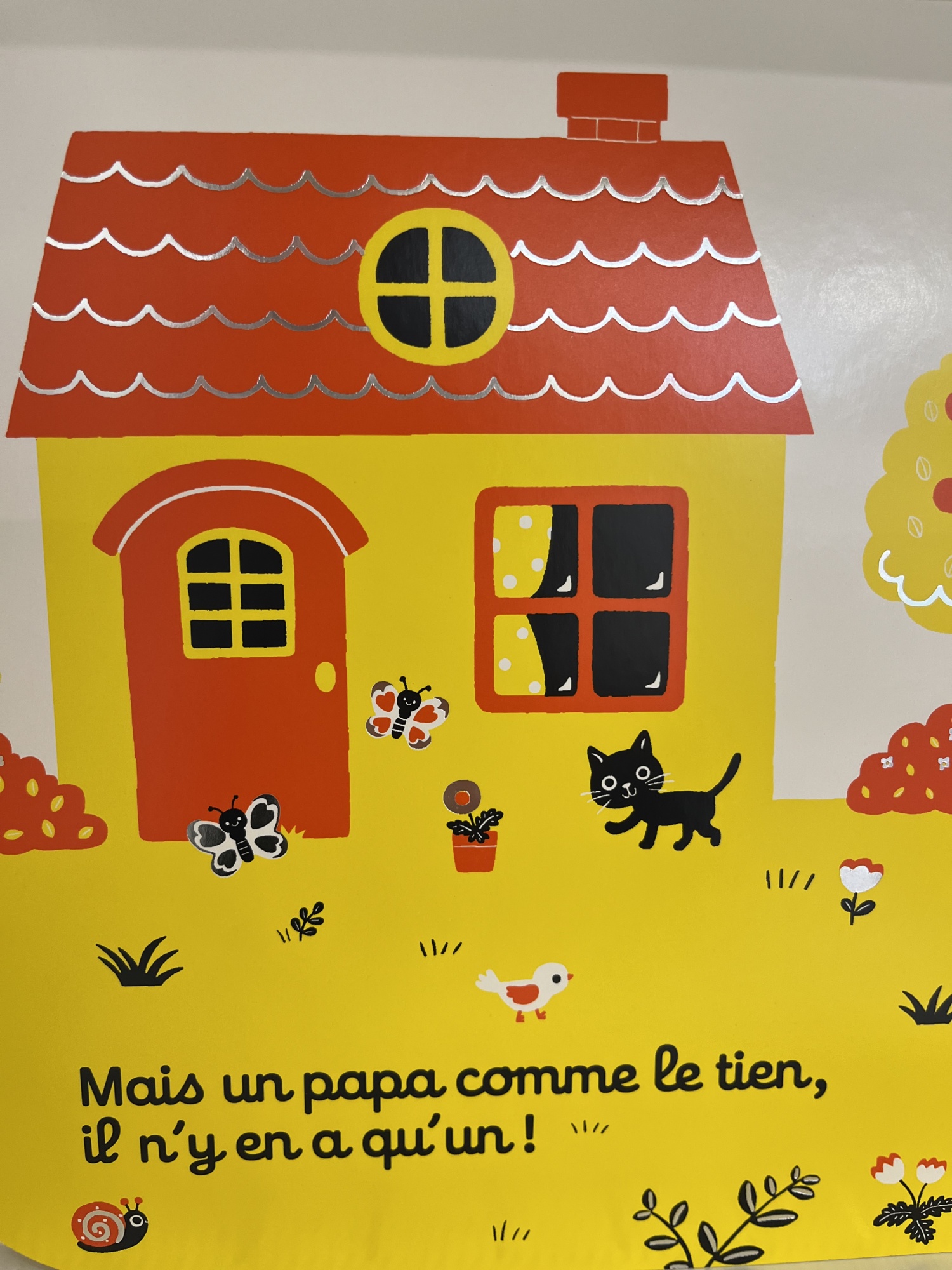 Pré-visualisation