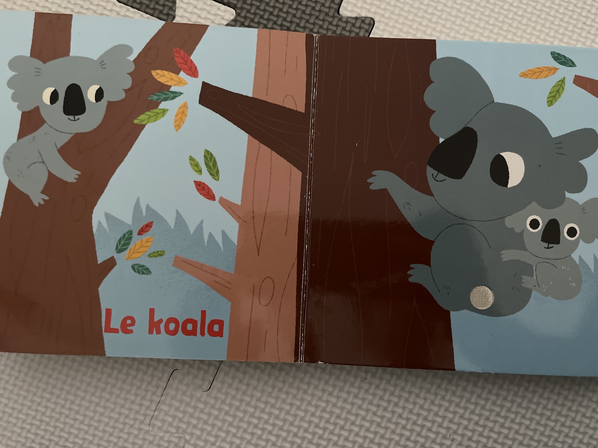 Pré-visualisation