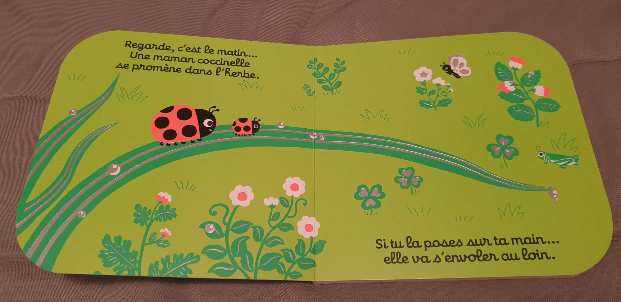 Pré-visualisation