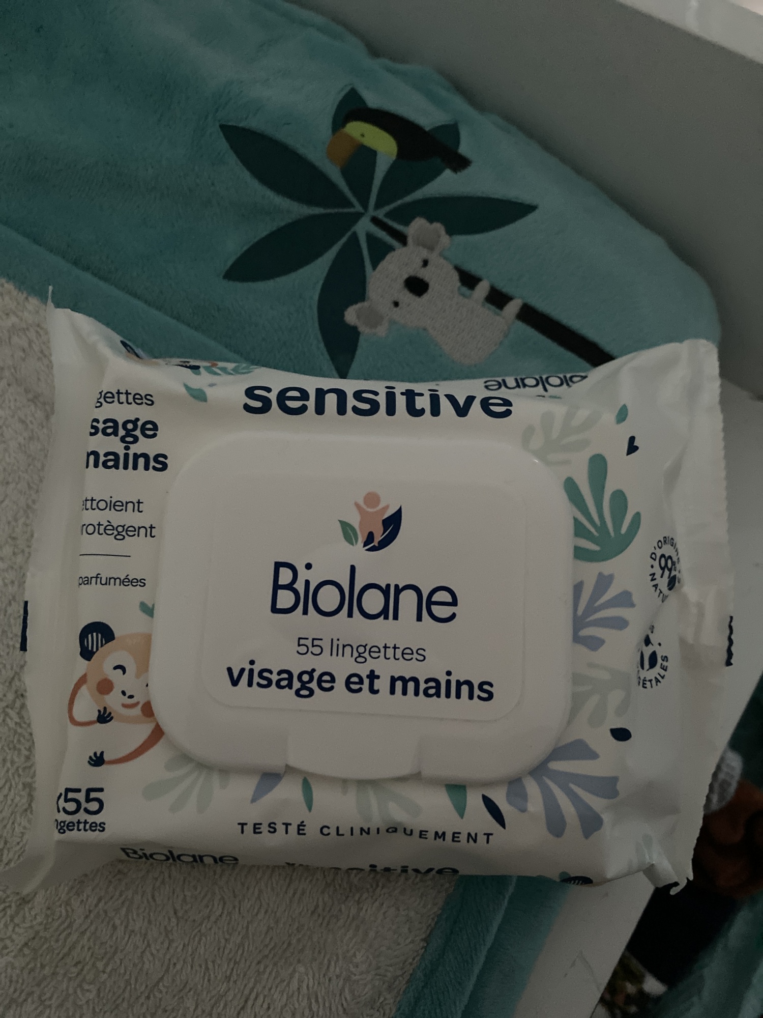 Pré-visualisation