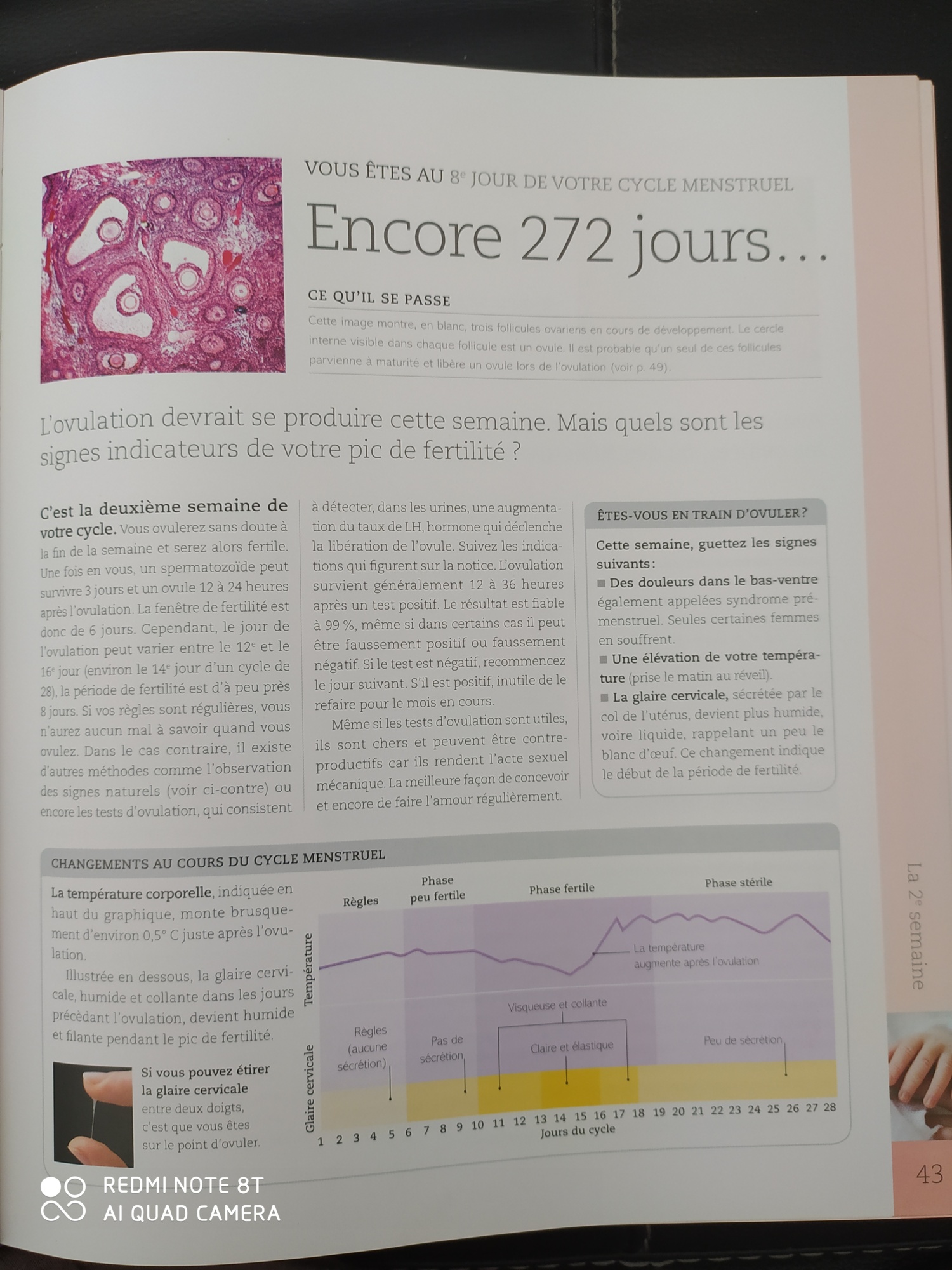 Pré-visualisation