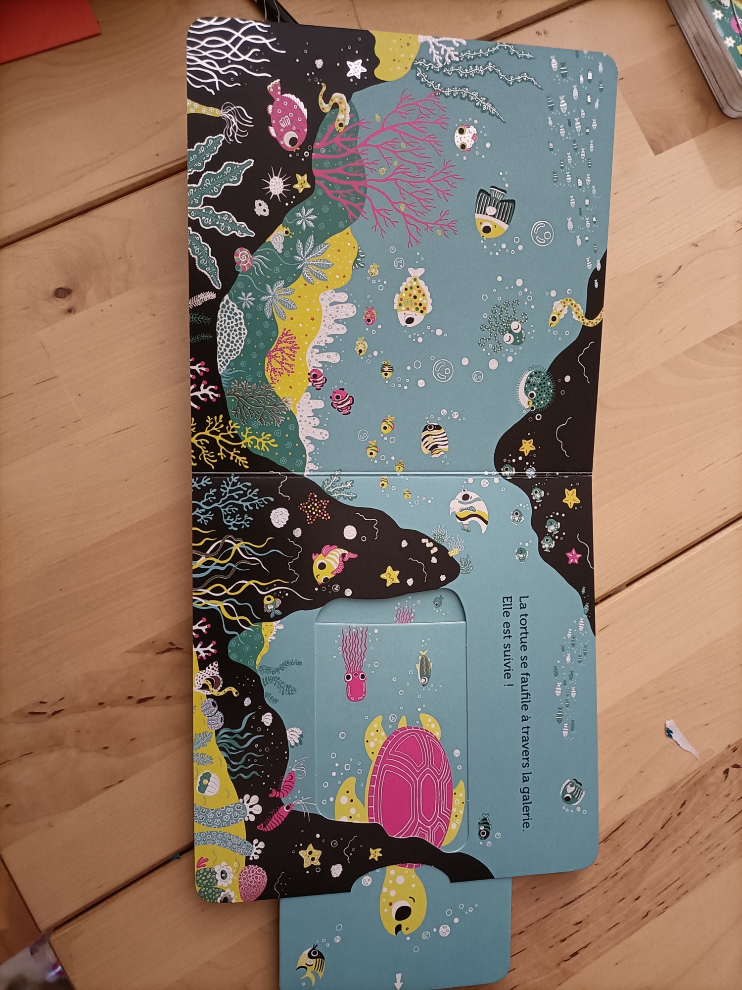 Pré-visualisation