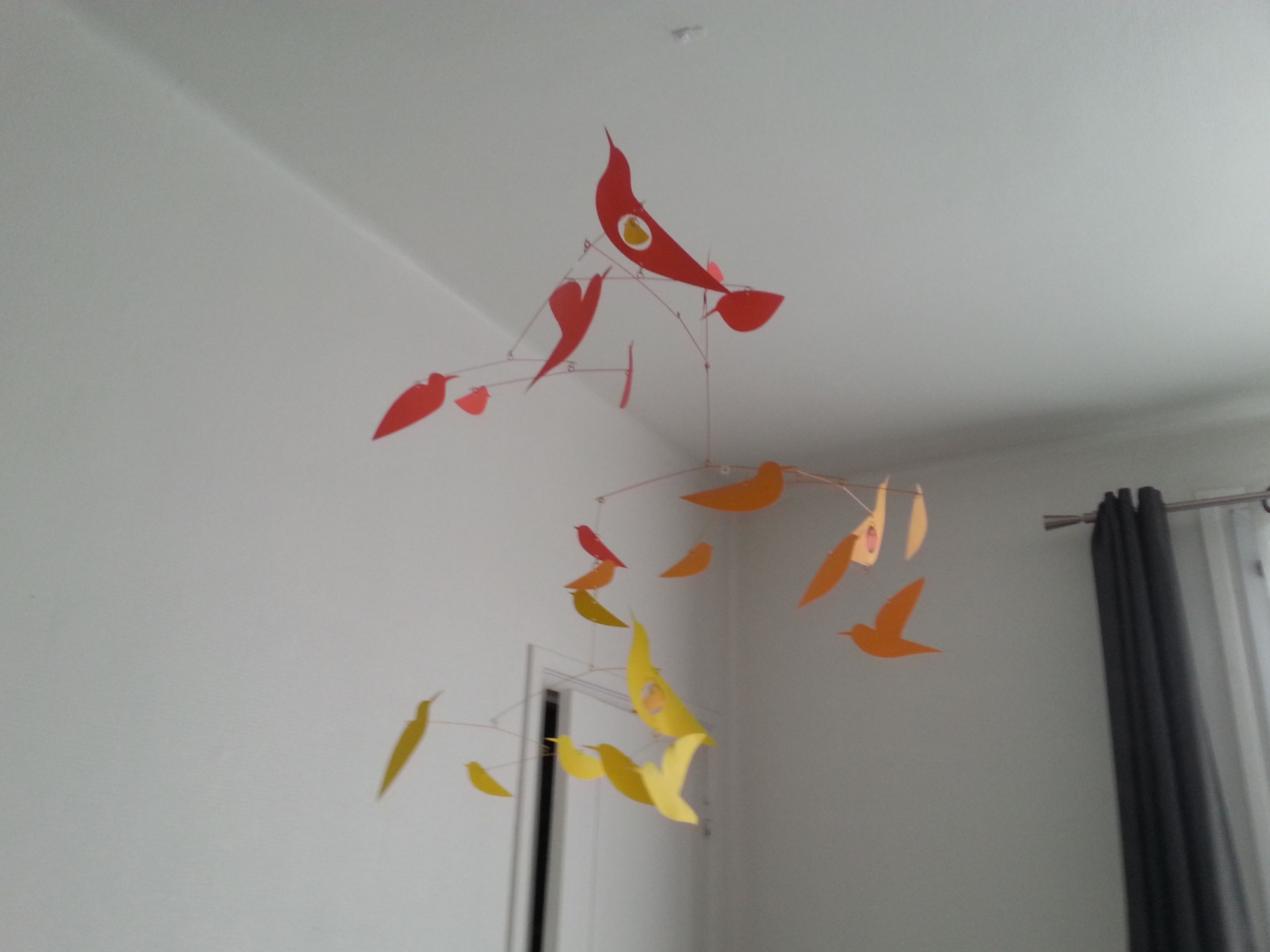 Pré-visualisation