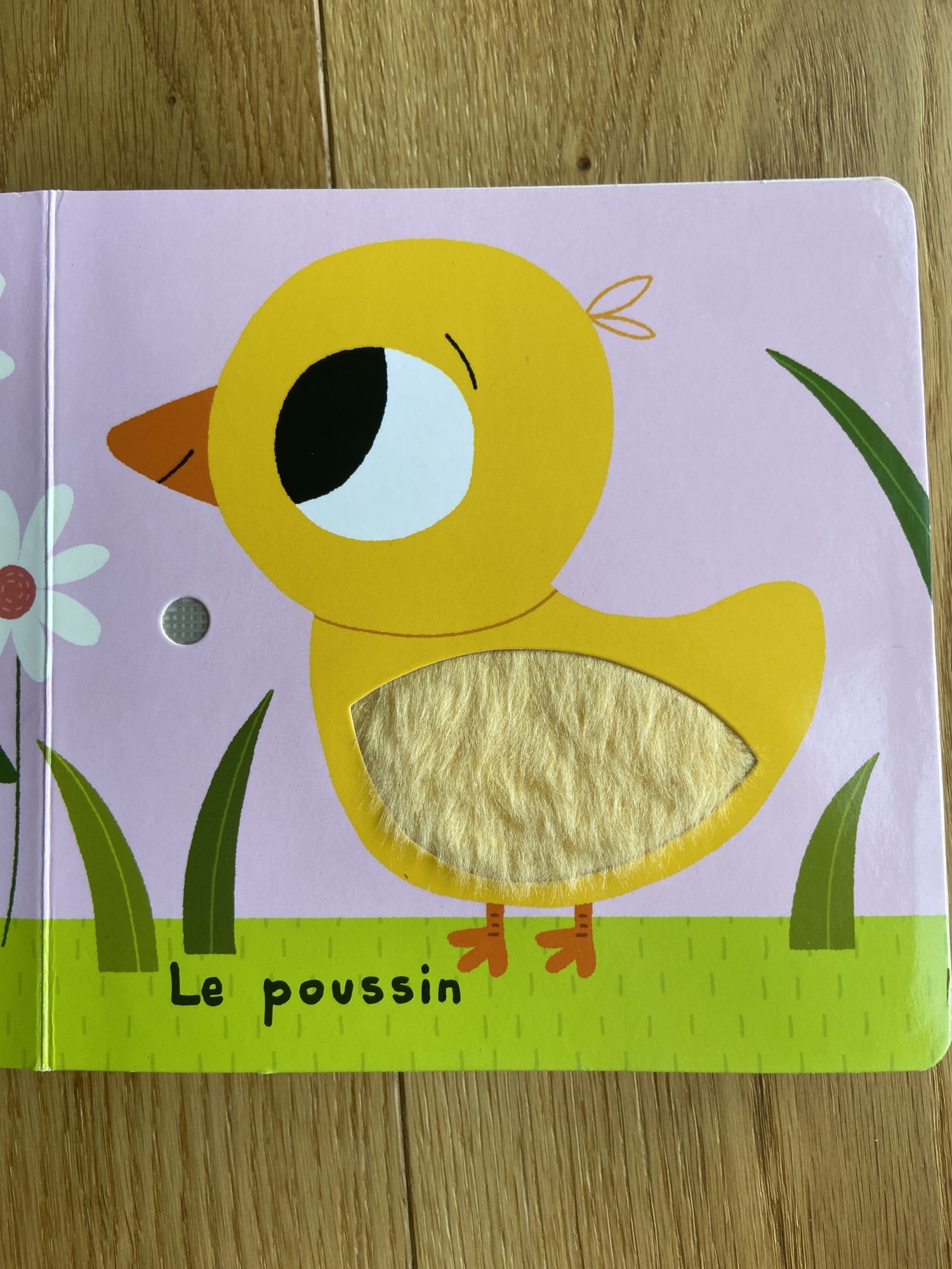 Pré-visualisation